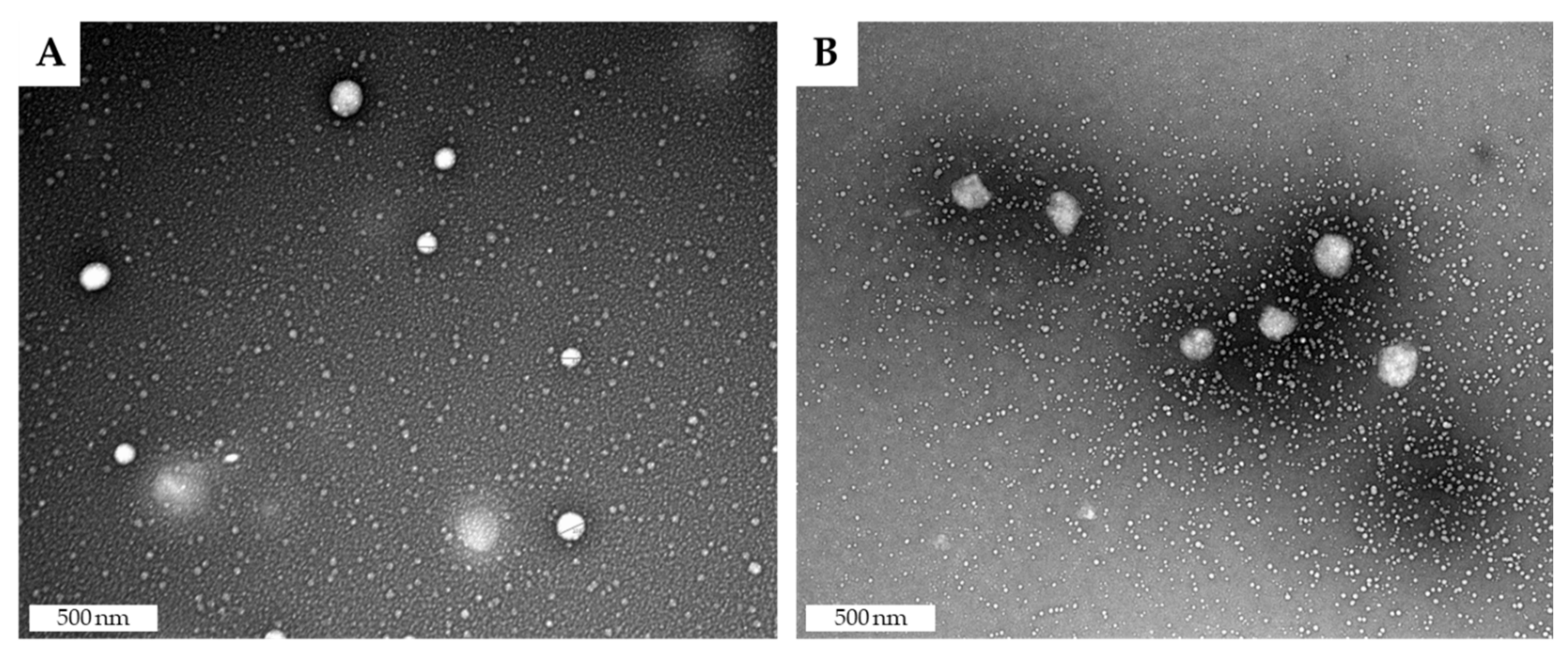 Nanomaterials 10 00986 g002