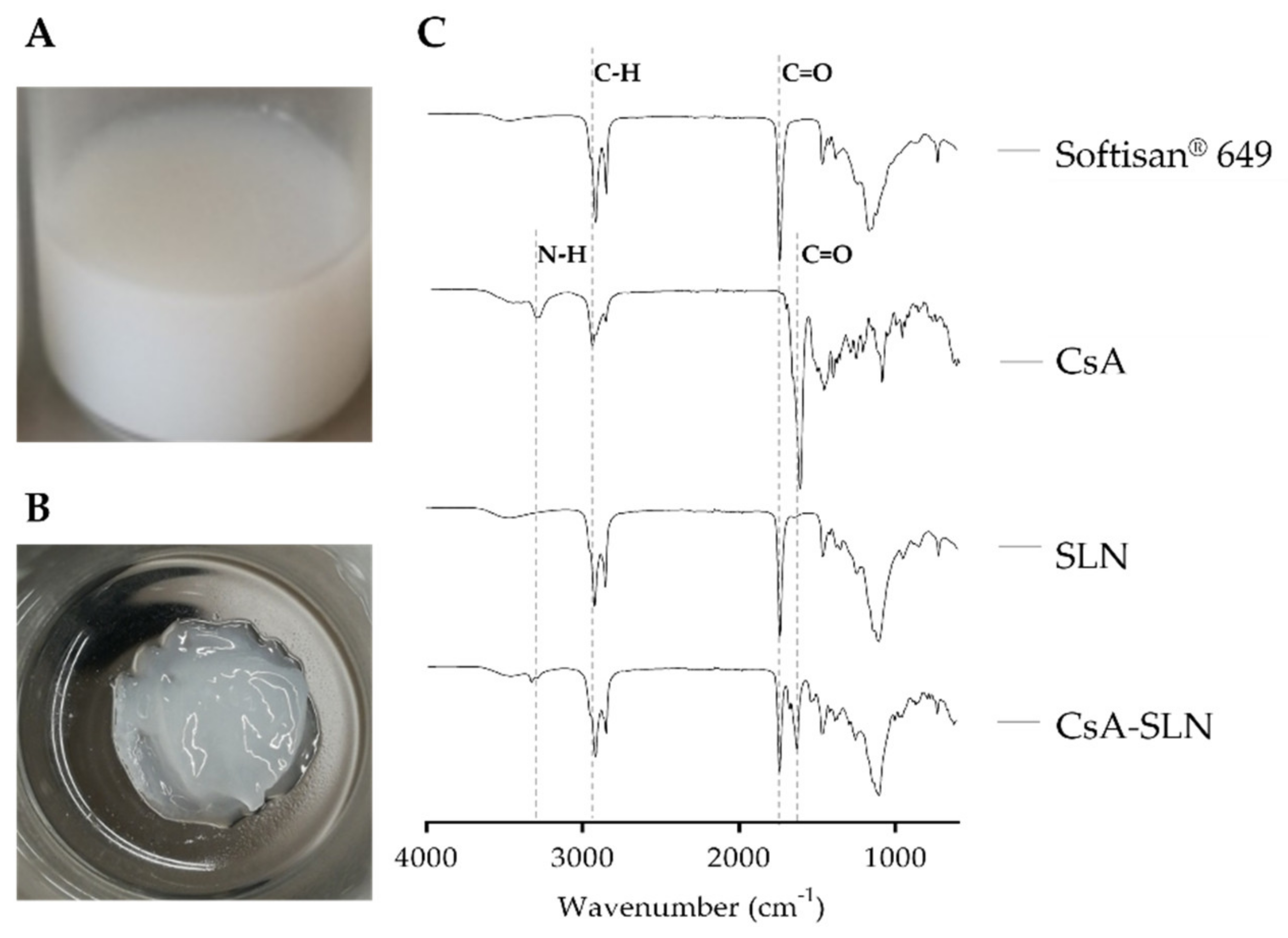 Nanomaterials 10 00986 g003