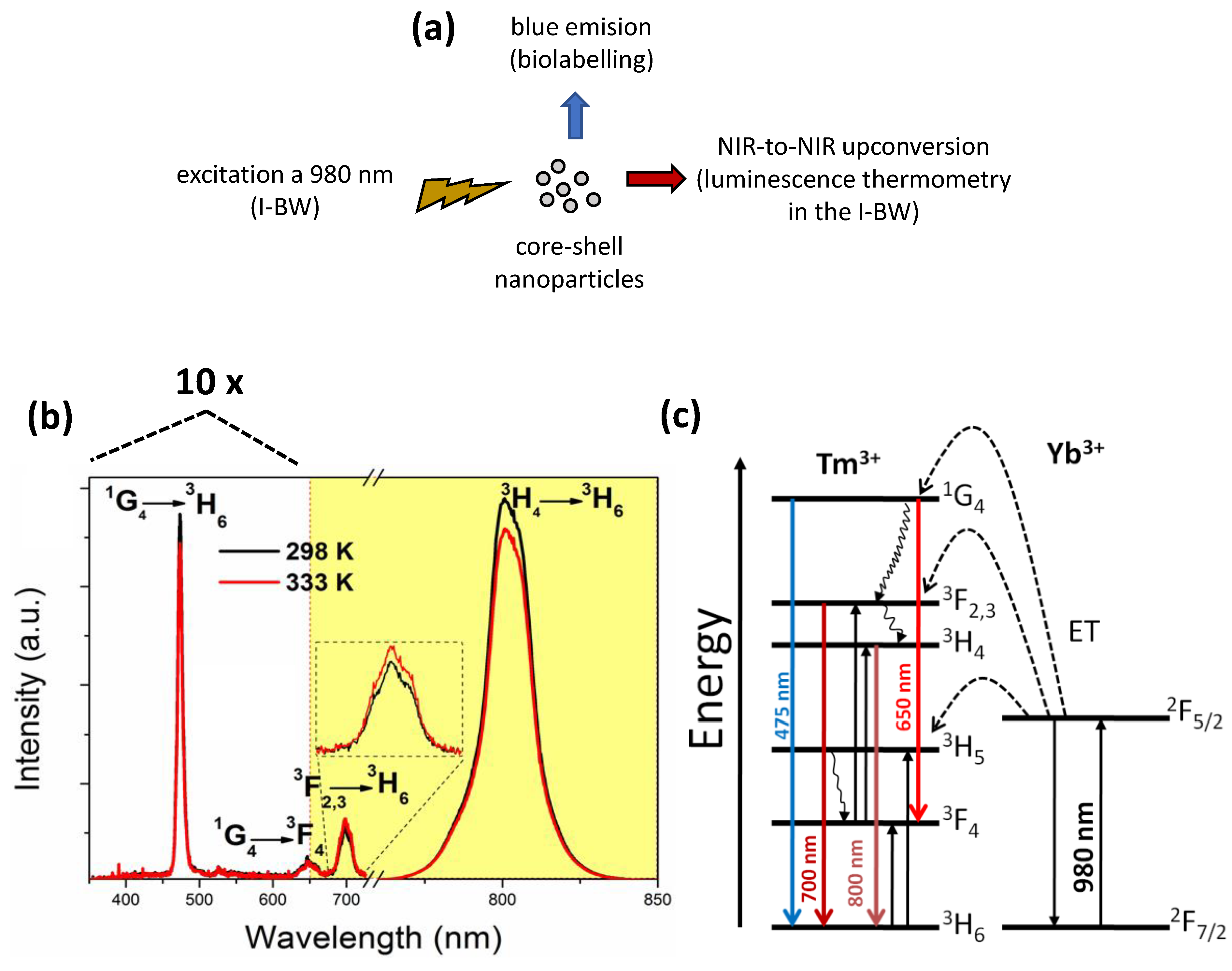 Nanomaterials 10 00993 g002