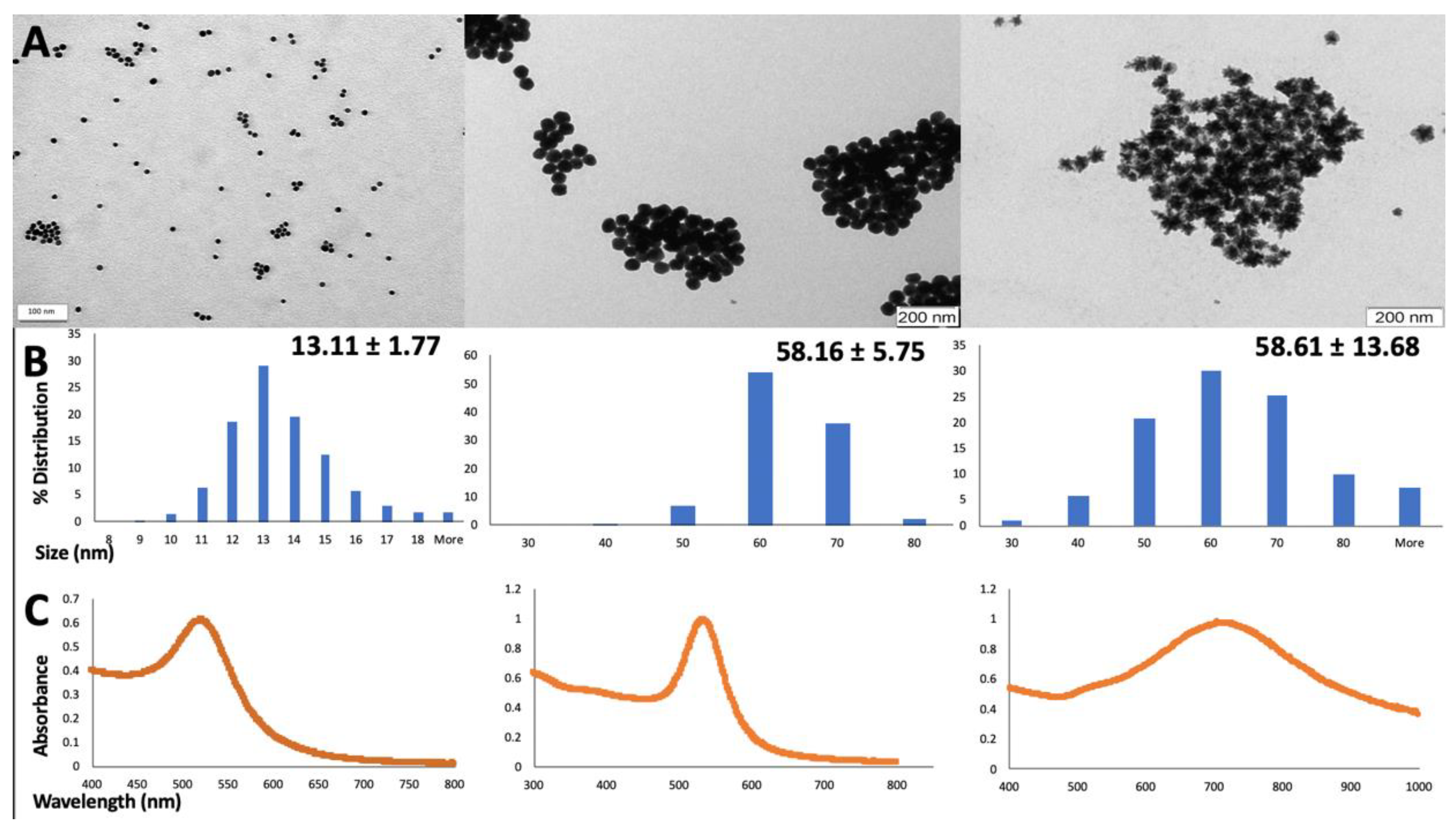 Nanomaterials 10 00995 g001