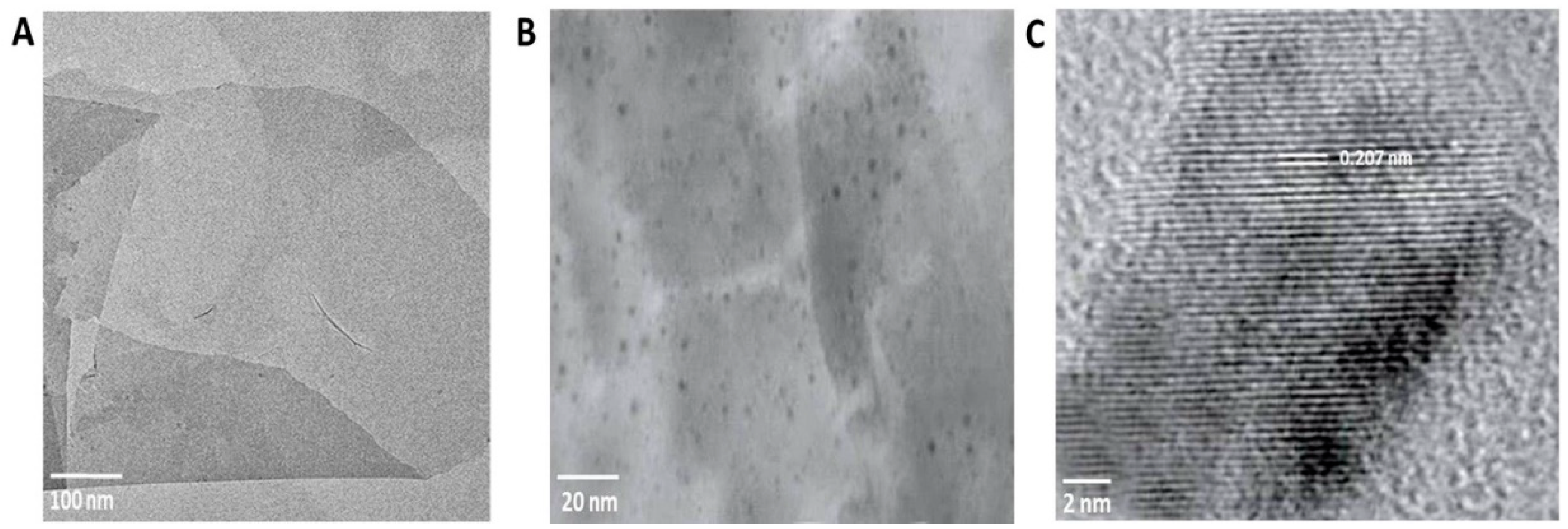 Nanomaterials 10 01001 g001