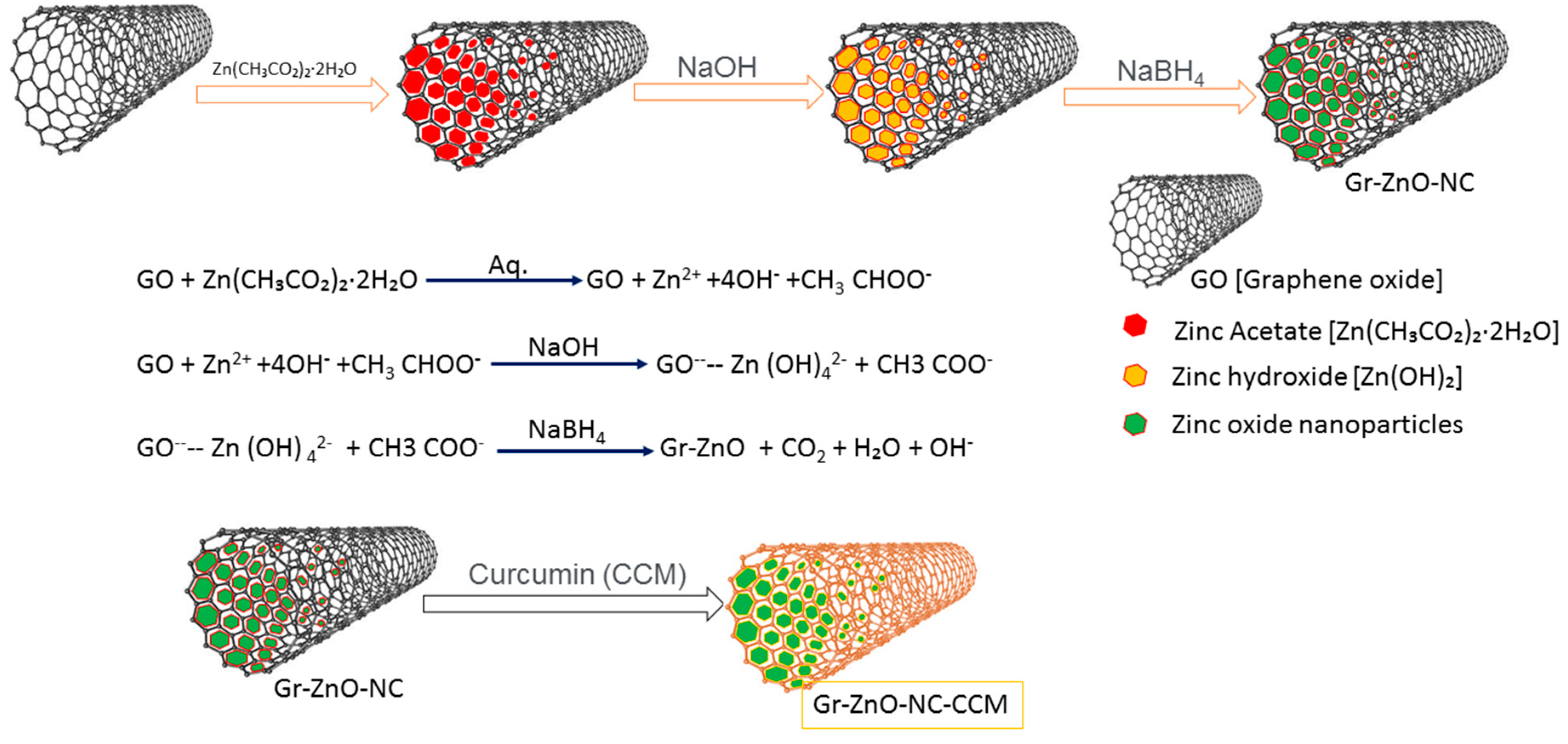 Nanomaterials 10 01004 g001