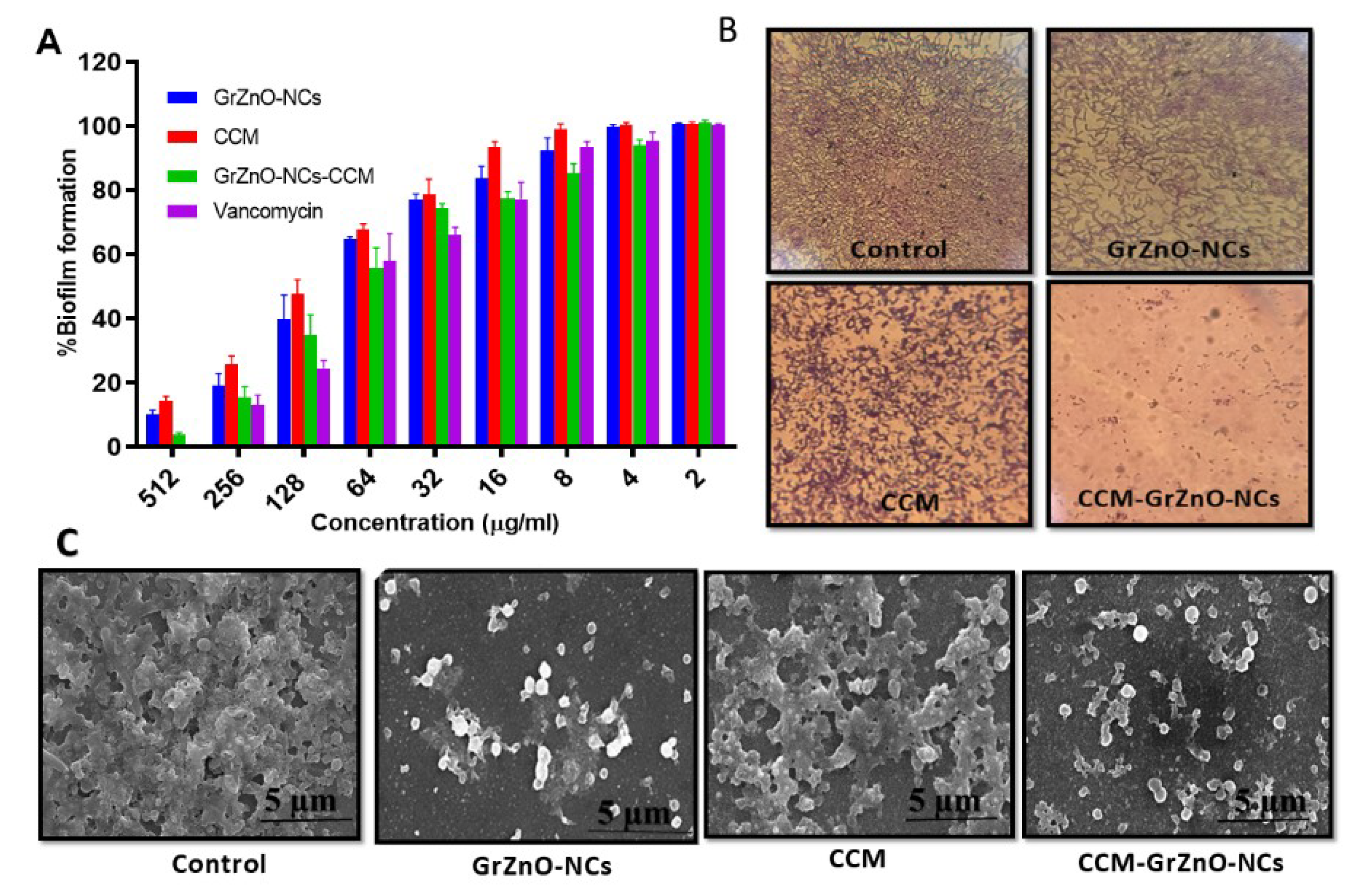 Nanomaterials 10 01004 g006
