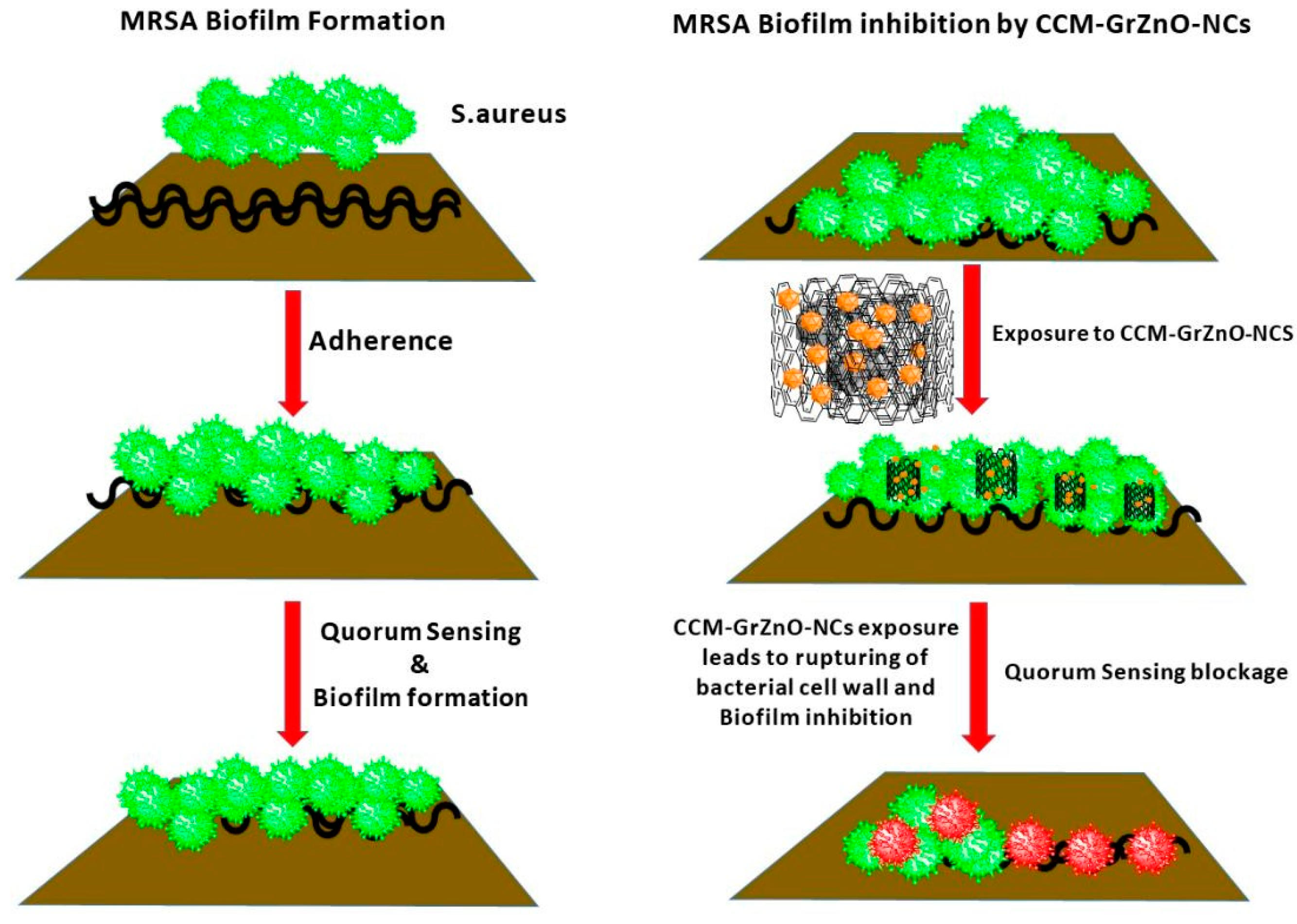 Nanomaterials 10 01004 g007
