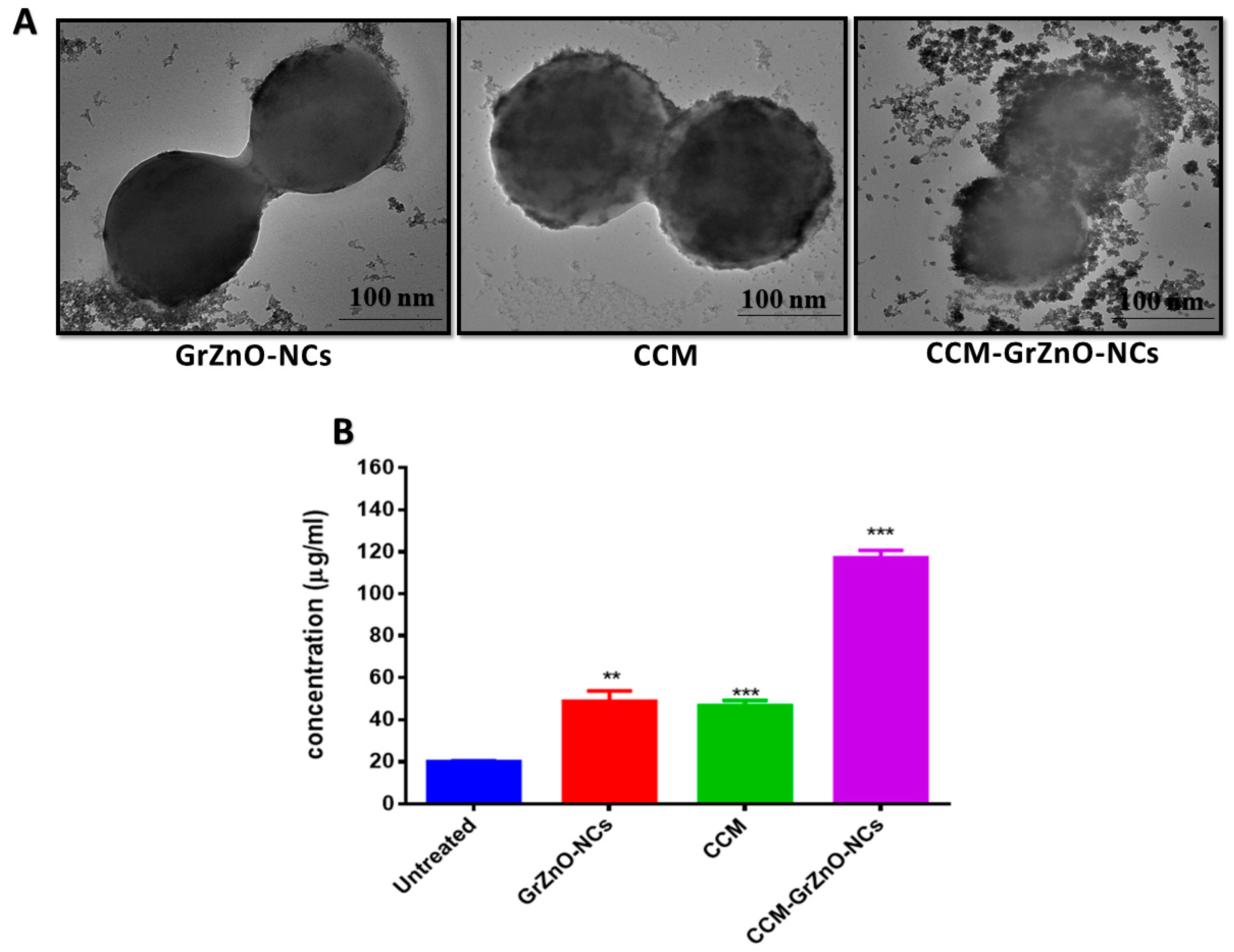 Nanomaterials 10 01004 g008
