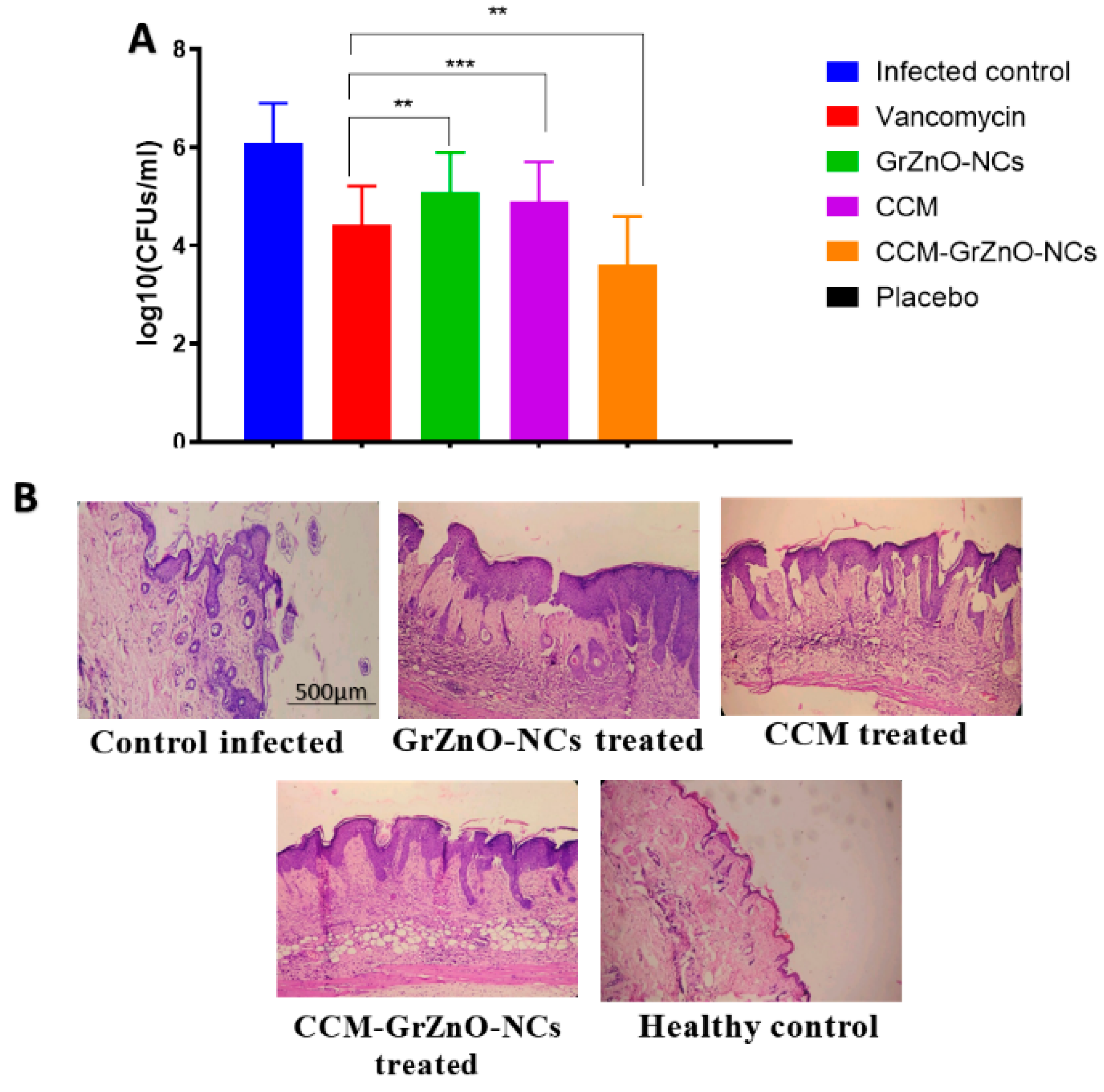 Nanomaterials 10 01004 g009