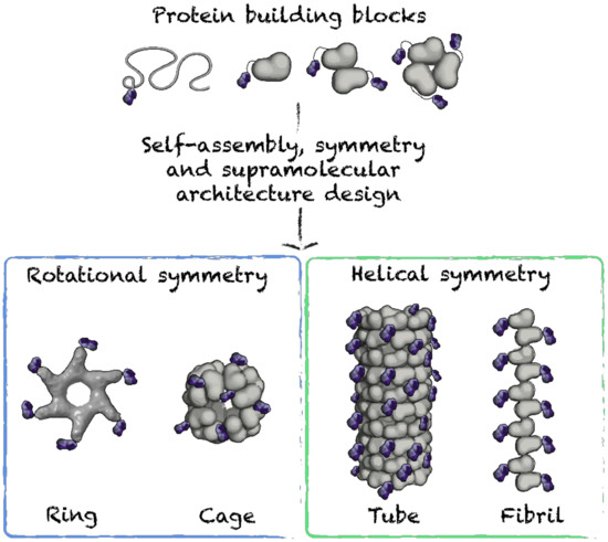 Rationally Designed Self-Assembling Nanovaccines Elicit Robust