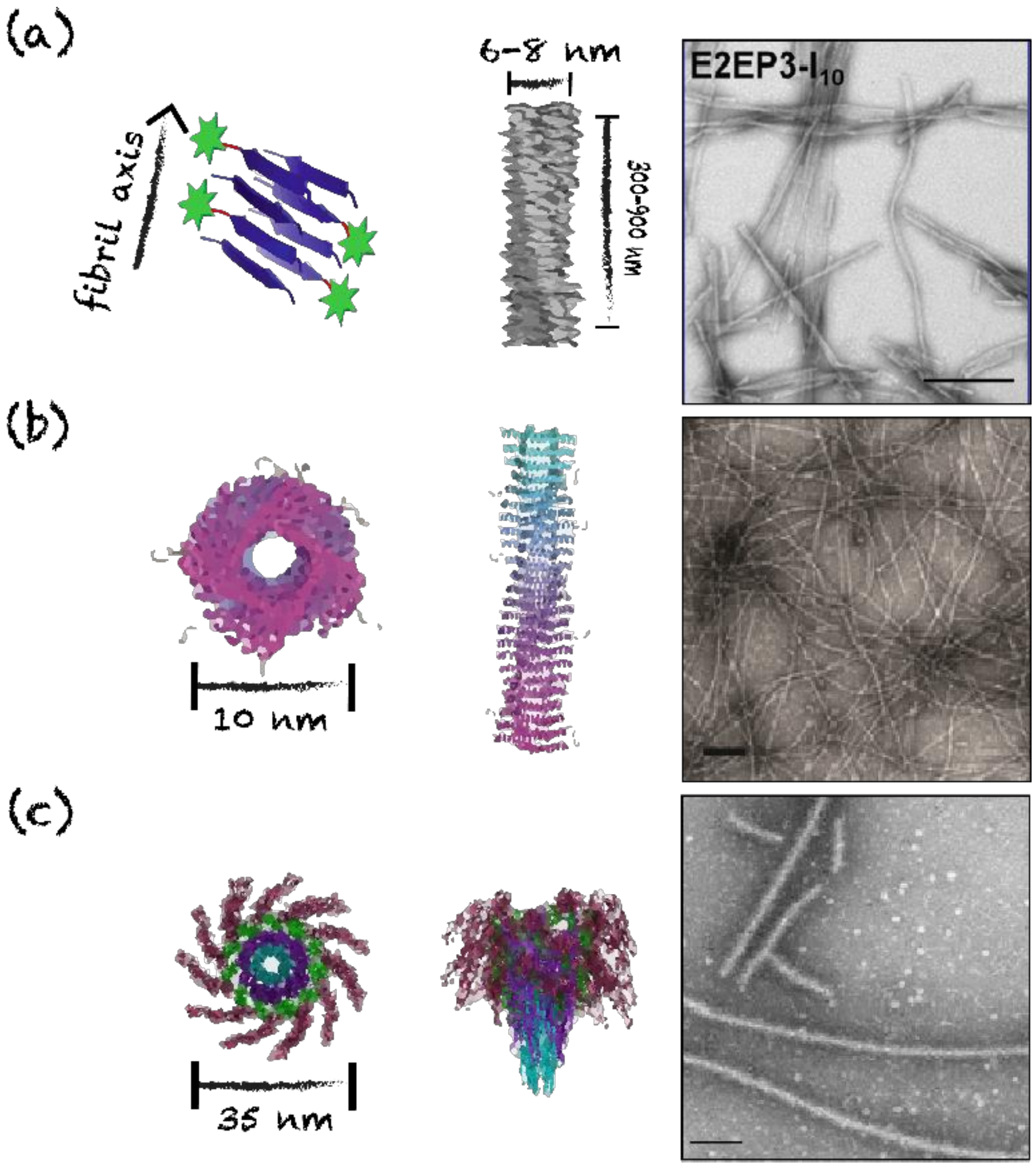 Nanomaterials 10 01008 g006 Nanomaterials 10 01008 g006