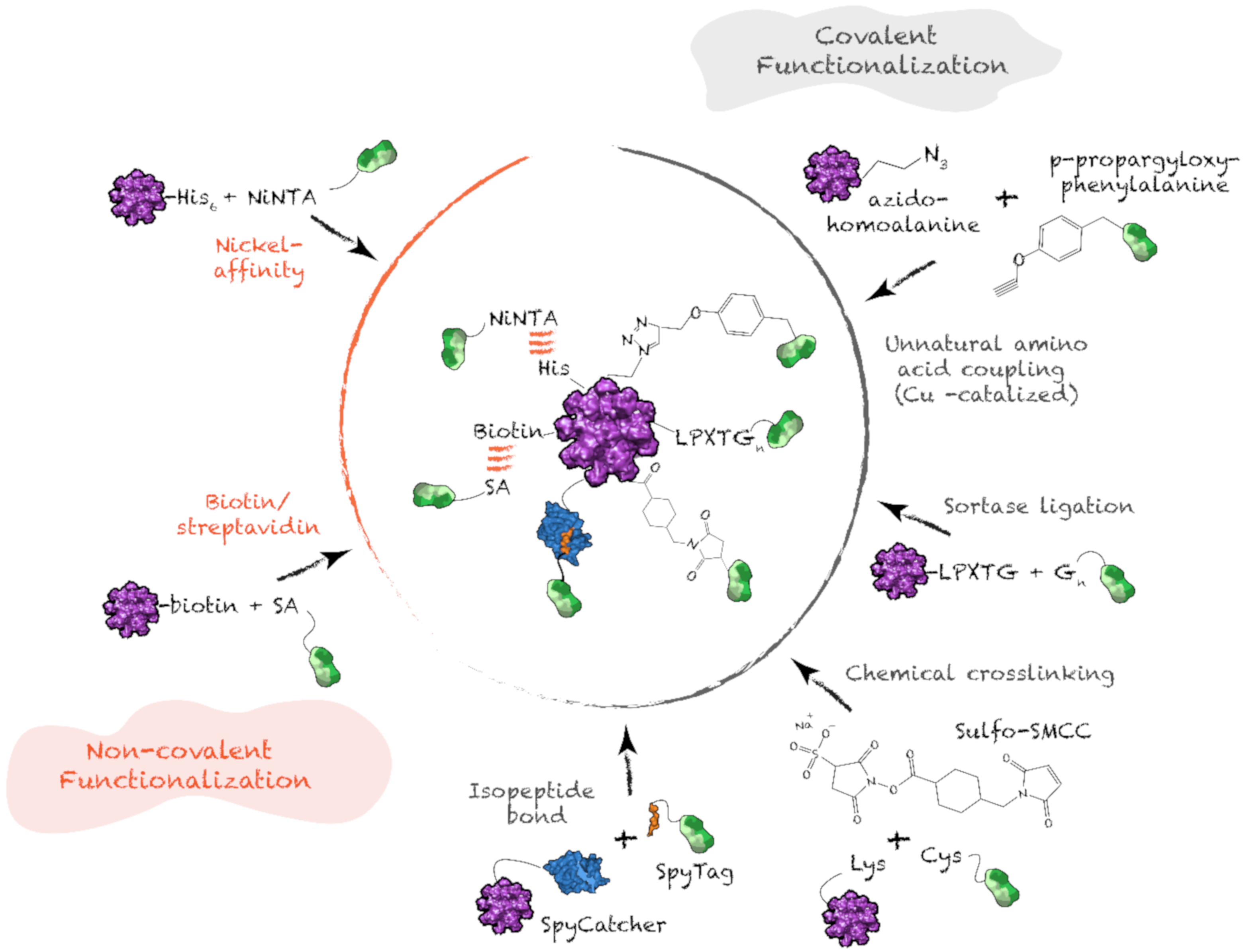 Nanomaterials 10 01008 g007 Nanomaterials 10 01008 g007