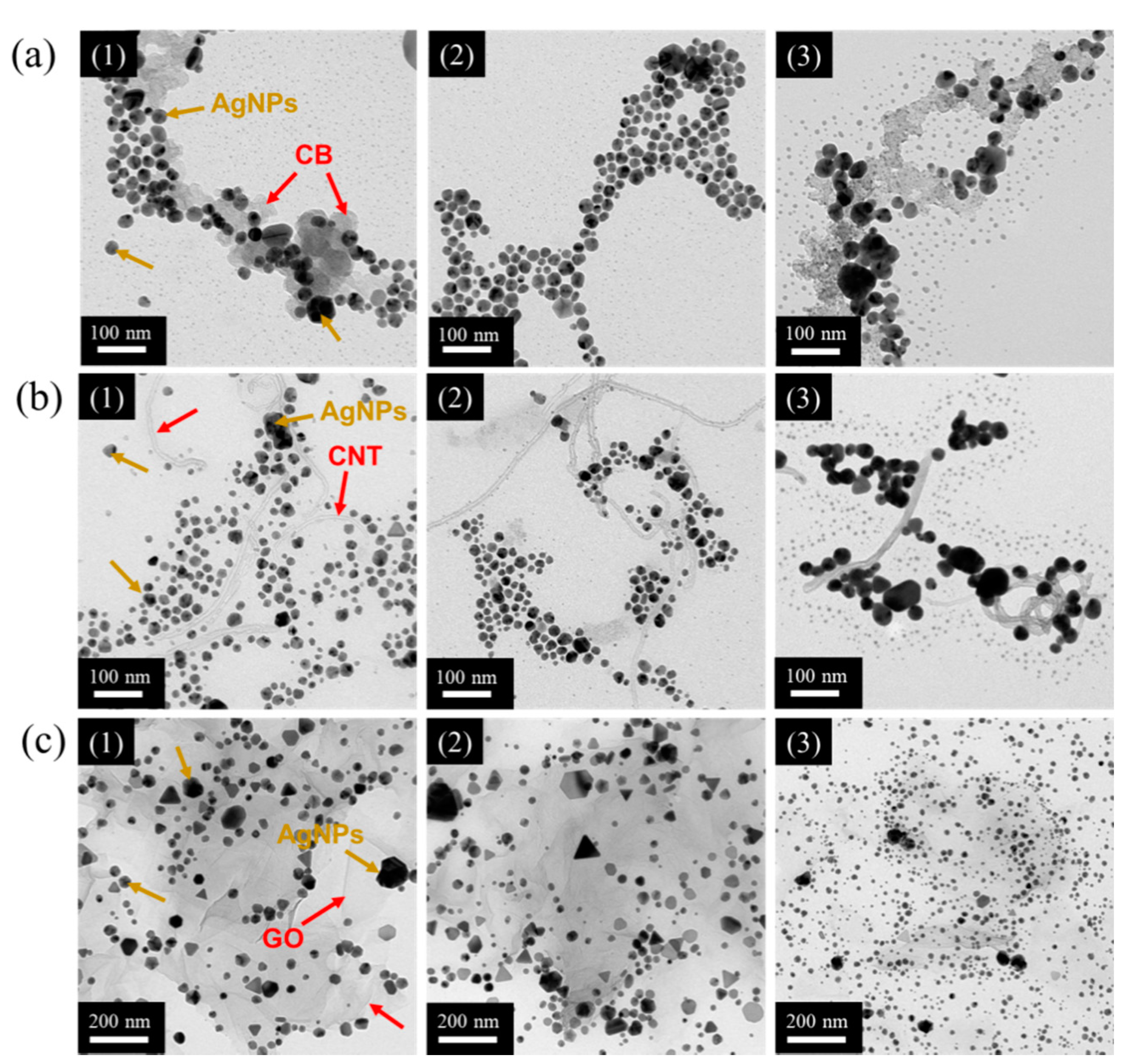 Nanomaterials 10 01009 g004