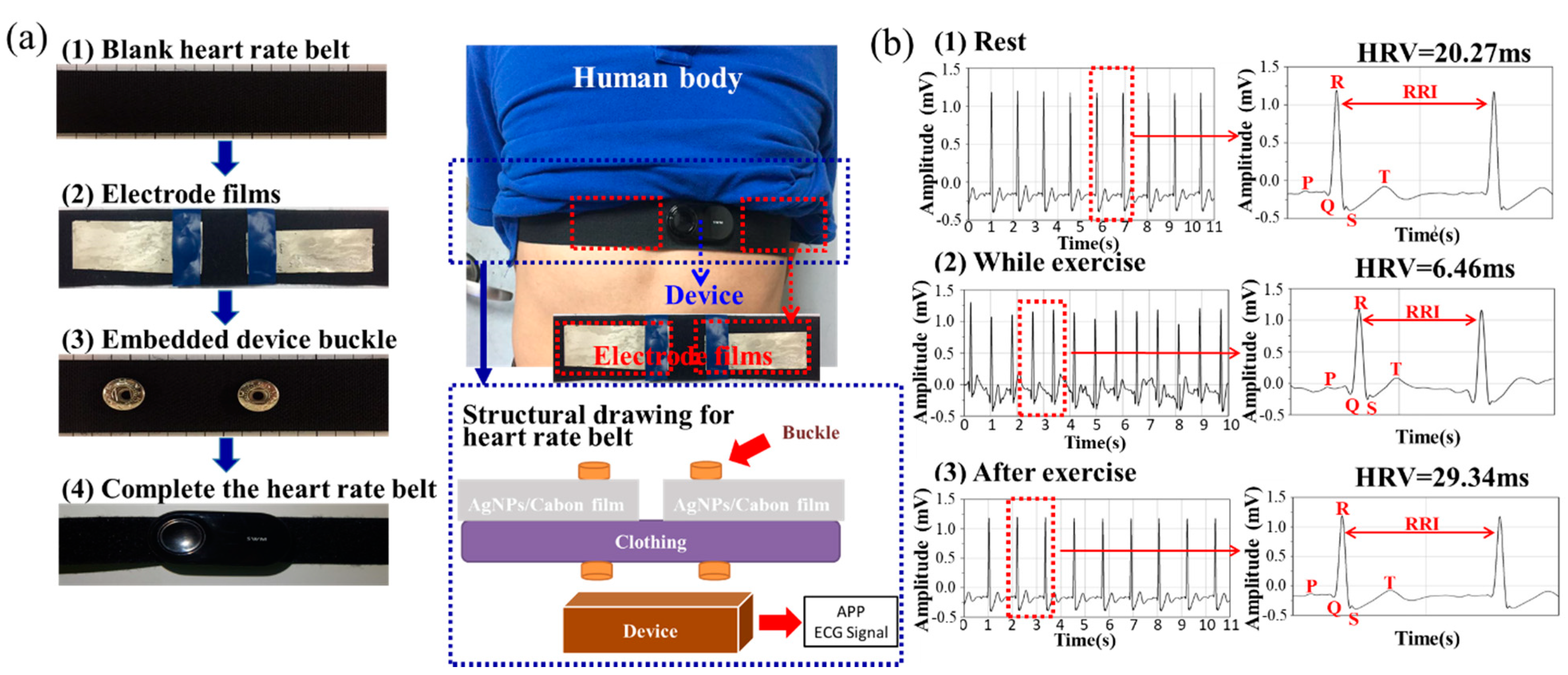Nanomaterials 10 01009 g006
