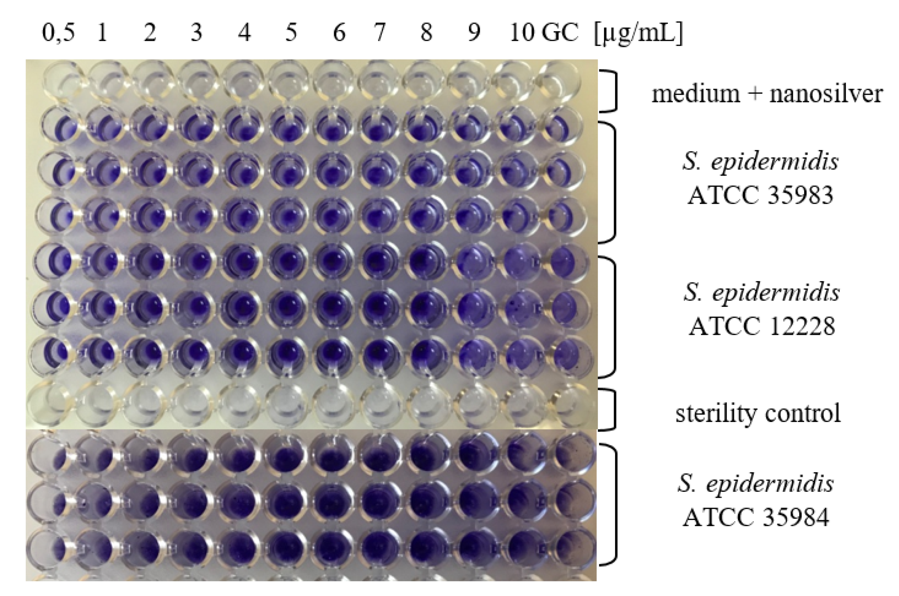 Nanomaterials 10 01010 g002