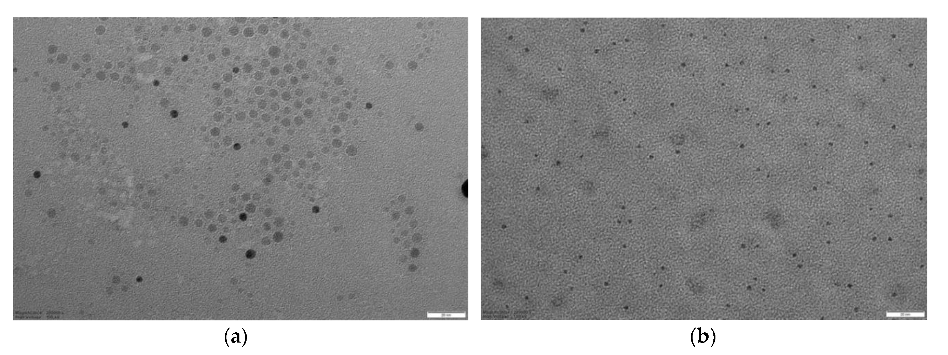 Nanomaterials 10 01011 g003a