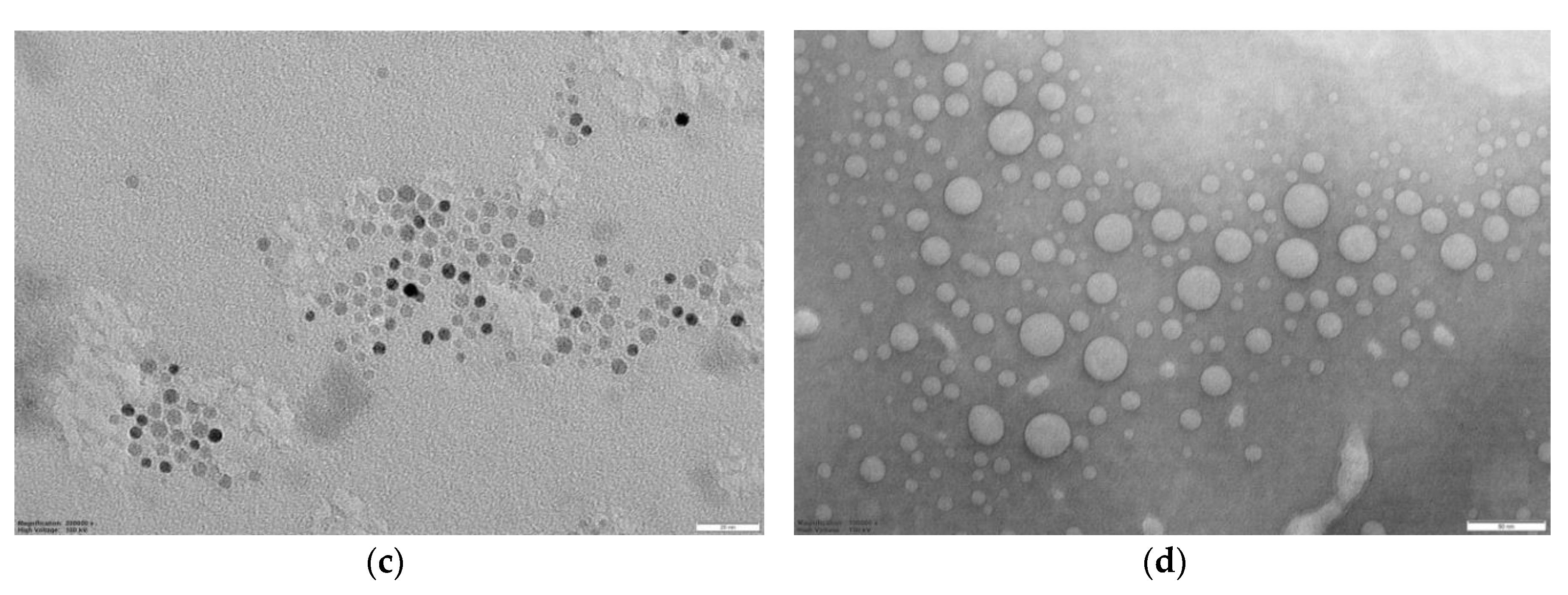 Nanomaterials 10 01011 g003b