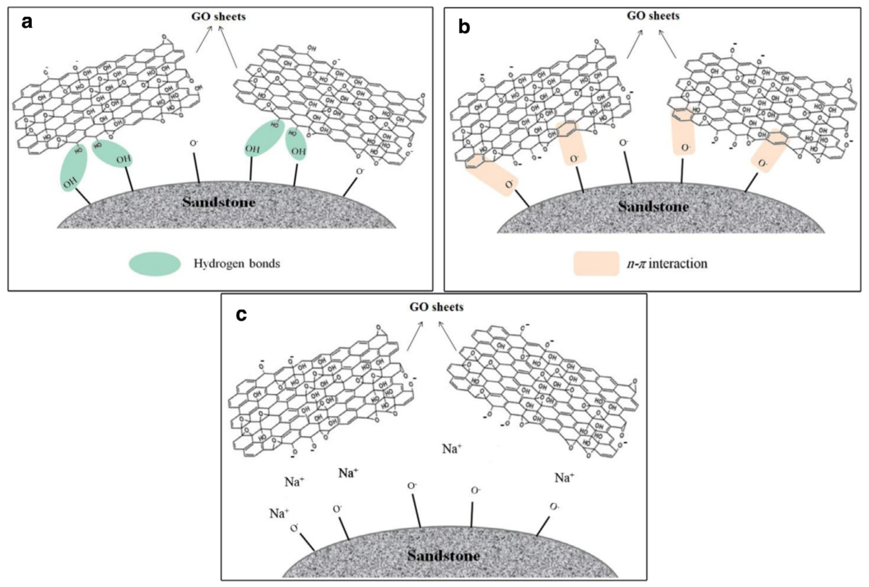 Nanomaterials 10 01013 g002