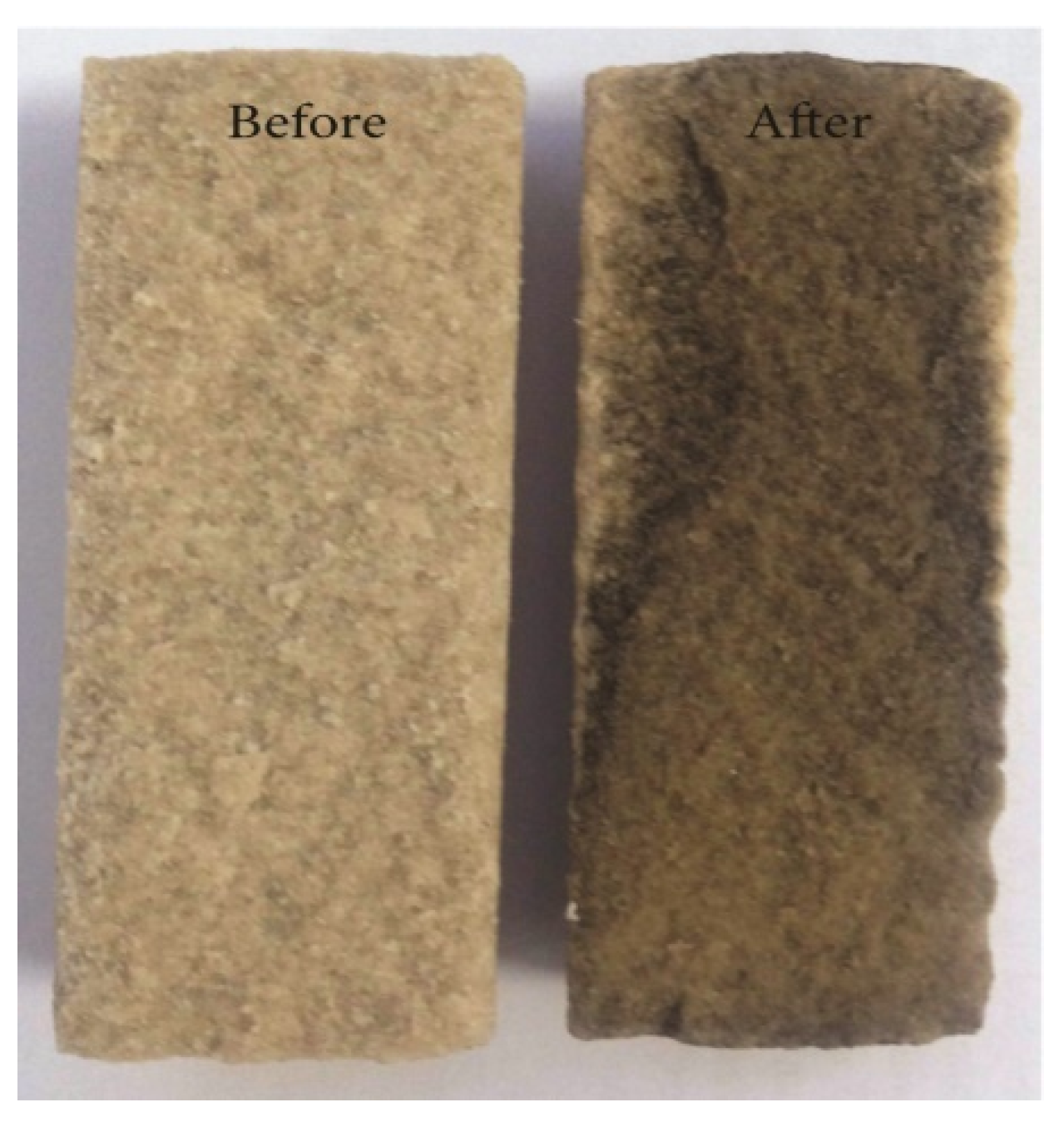 Nanomaterials 10 01013 g010