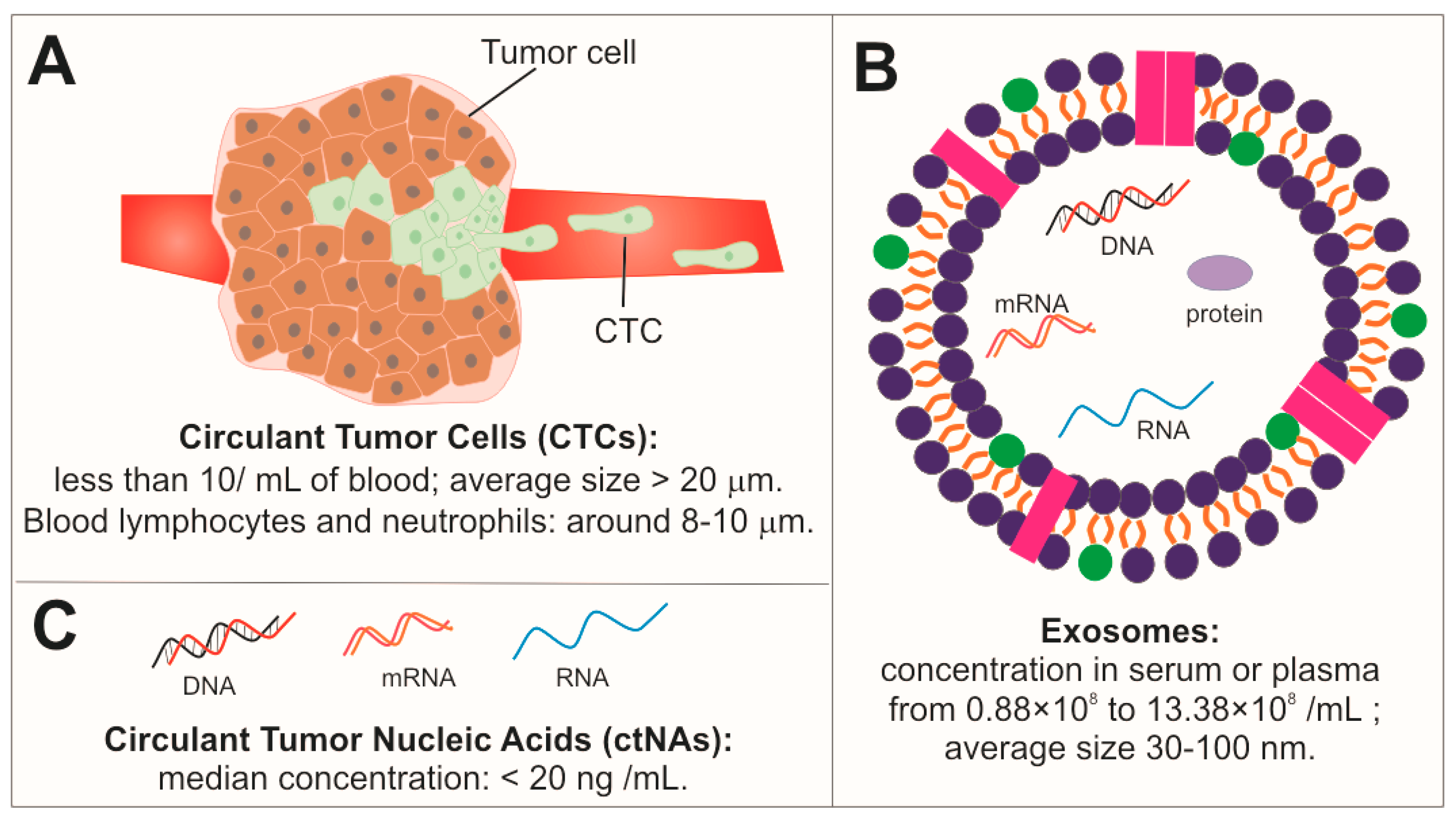 Nanomaterials 10 01014 g001