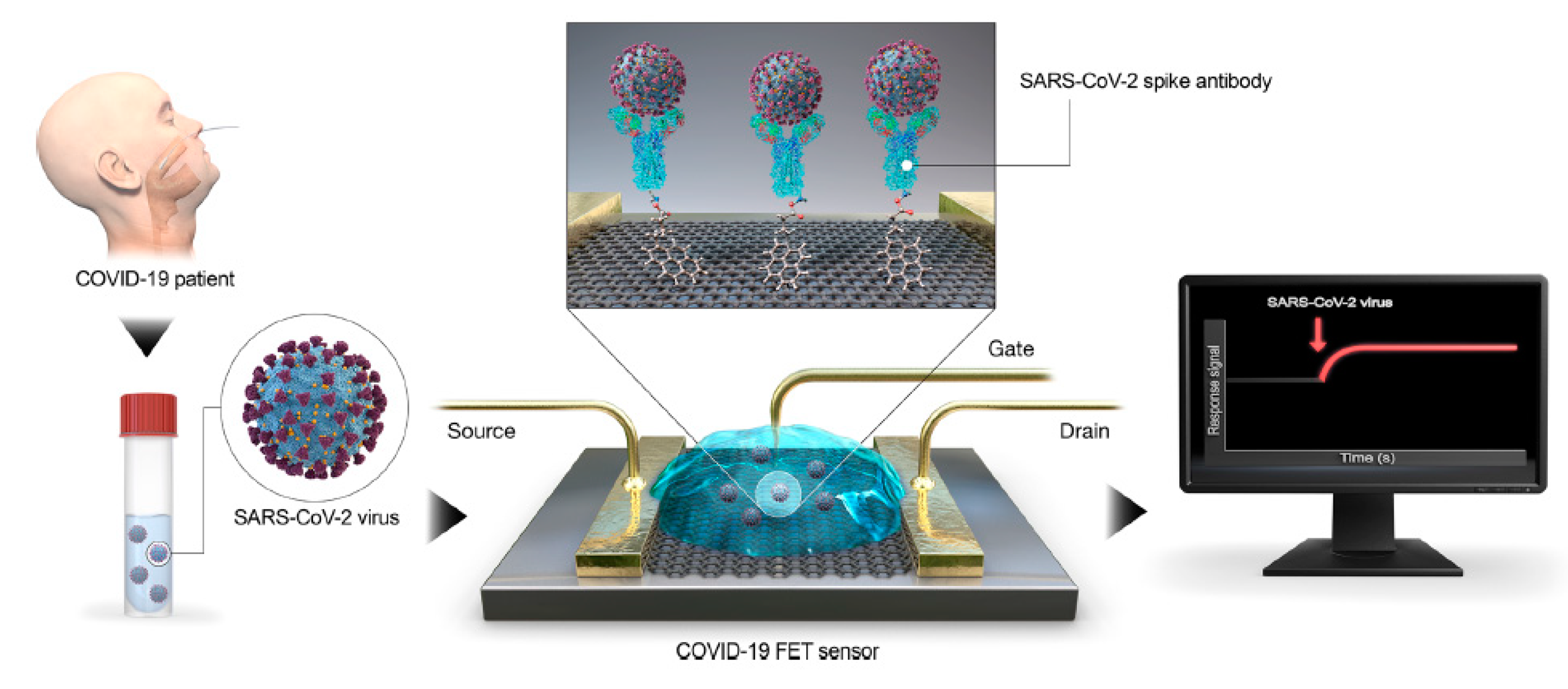 Nanomaterials 10 01014 g003