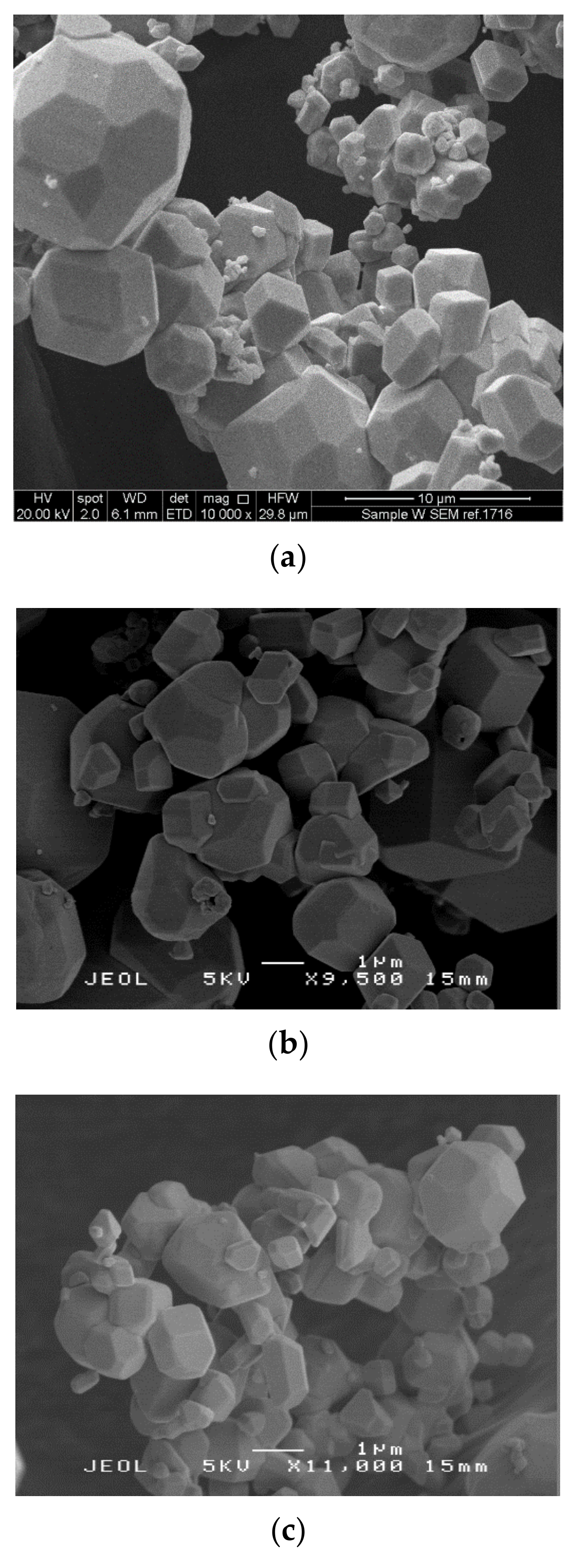 Nanomaterials 10 01017 g001