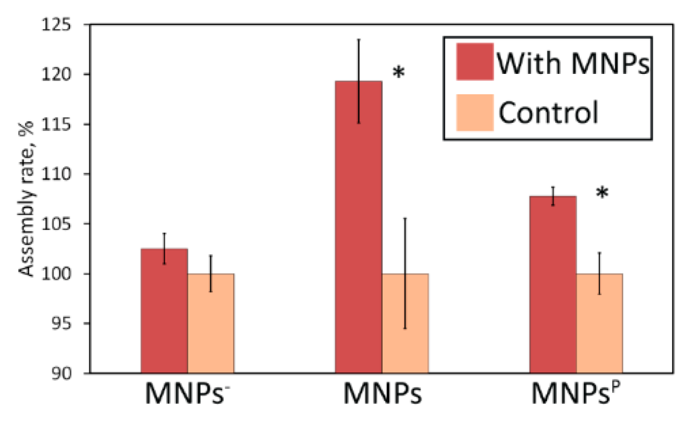 Nanomaterials 10 01018 g006