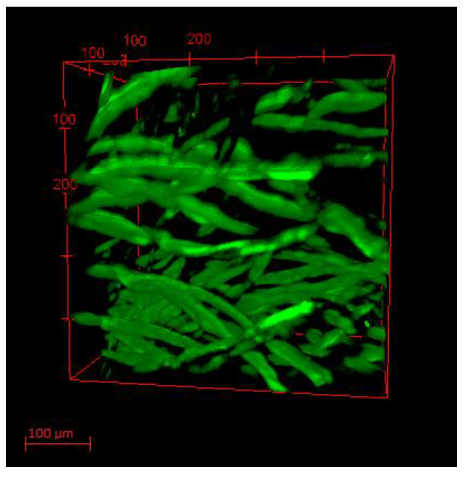 Nanomaterials 10 01020 g002 Nanomaterials 10 01020 g002