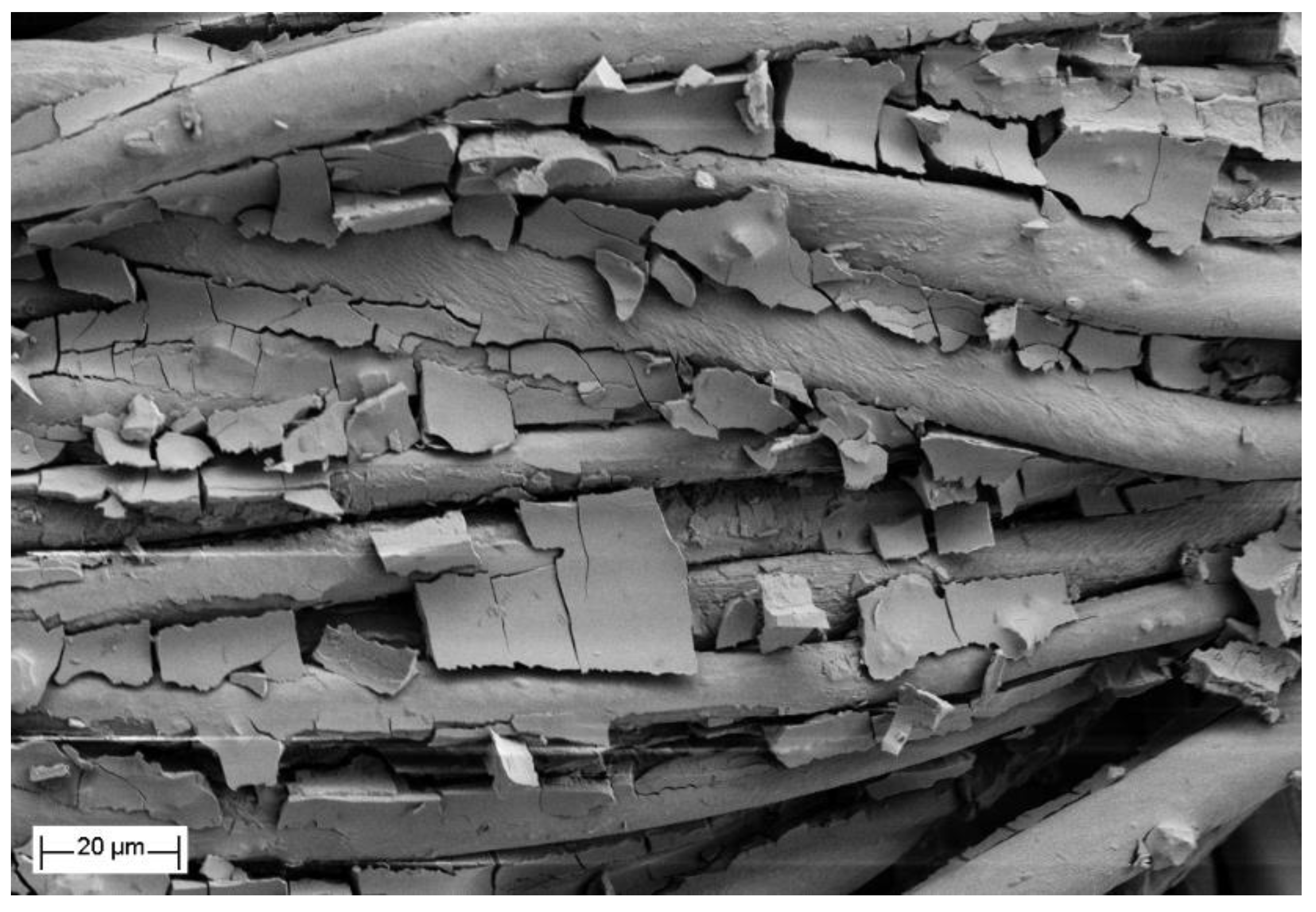 Nanomaterials 10 01020 g007 Nanomaterials 10 01020 g007