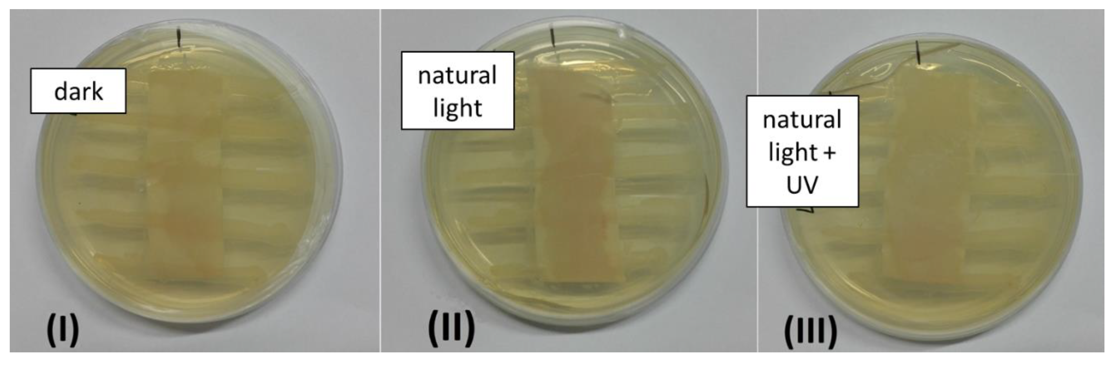 Nanomaterials 10 01020 g008 Nanomaterials 10 01020 g008