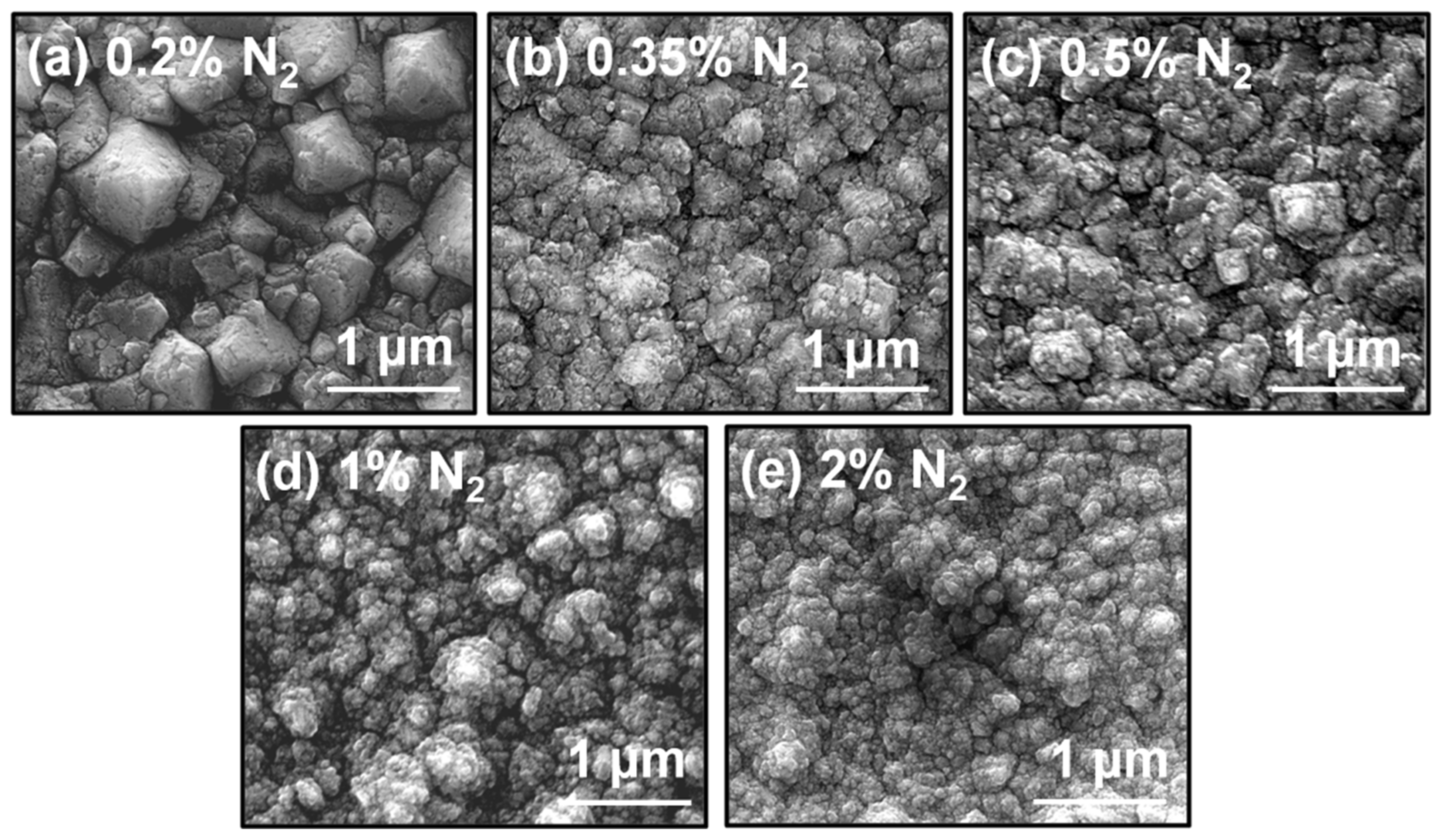 Nanomaterials 10 01024 g001