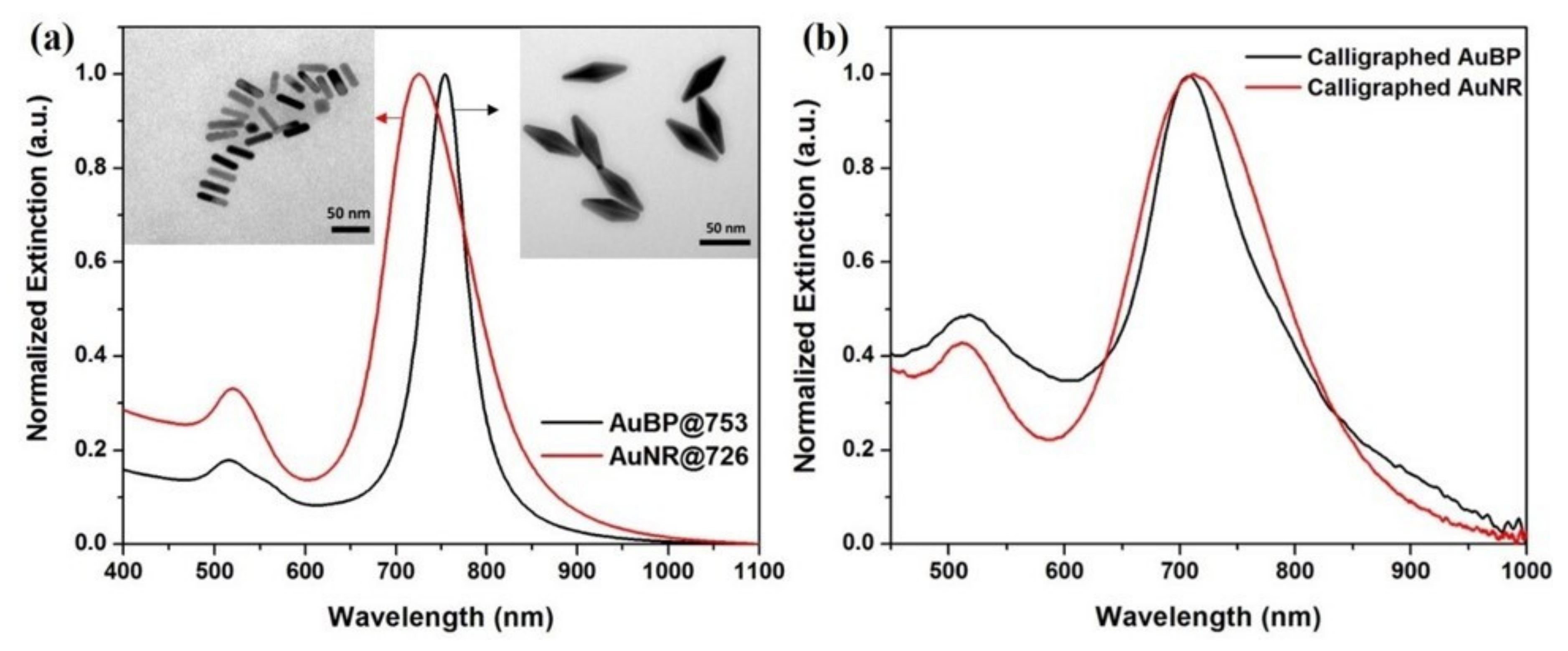 Nanomaterials 10 01025 g001 Nanomaterials 10 01025 g001