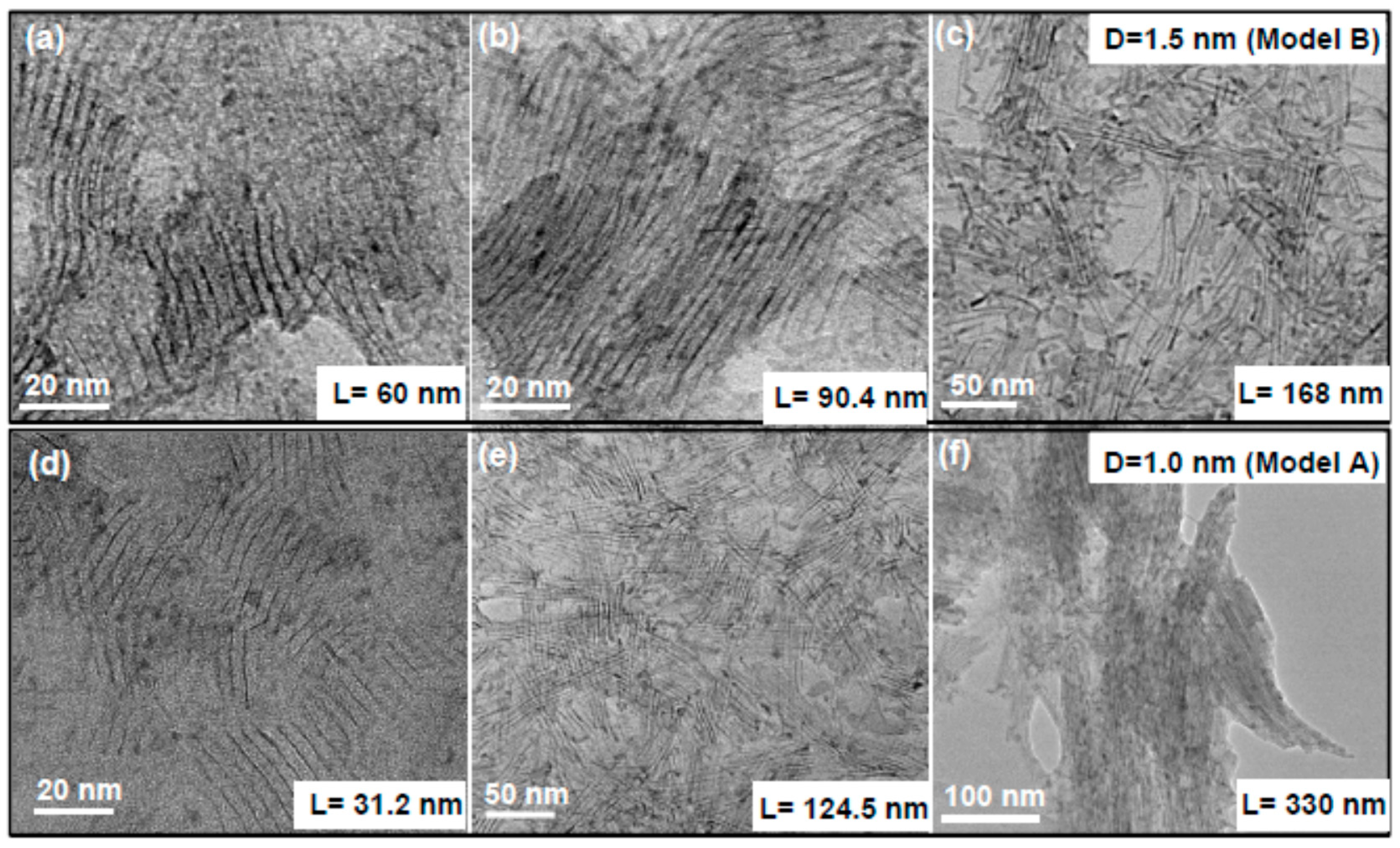 Nanomaterials 10 01029 i002