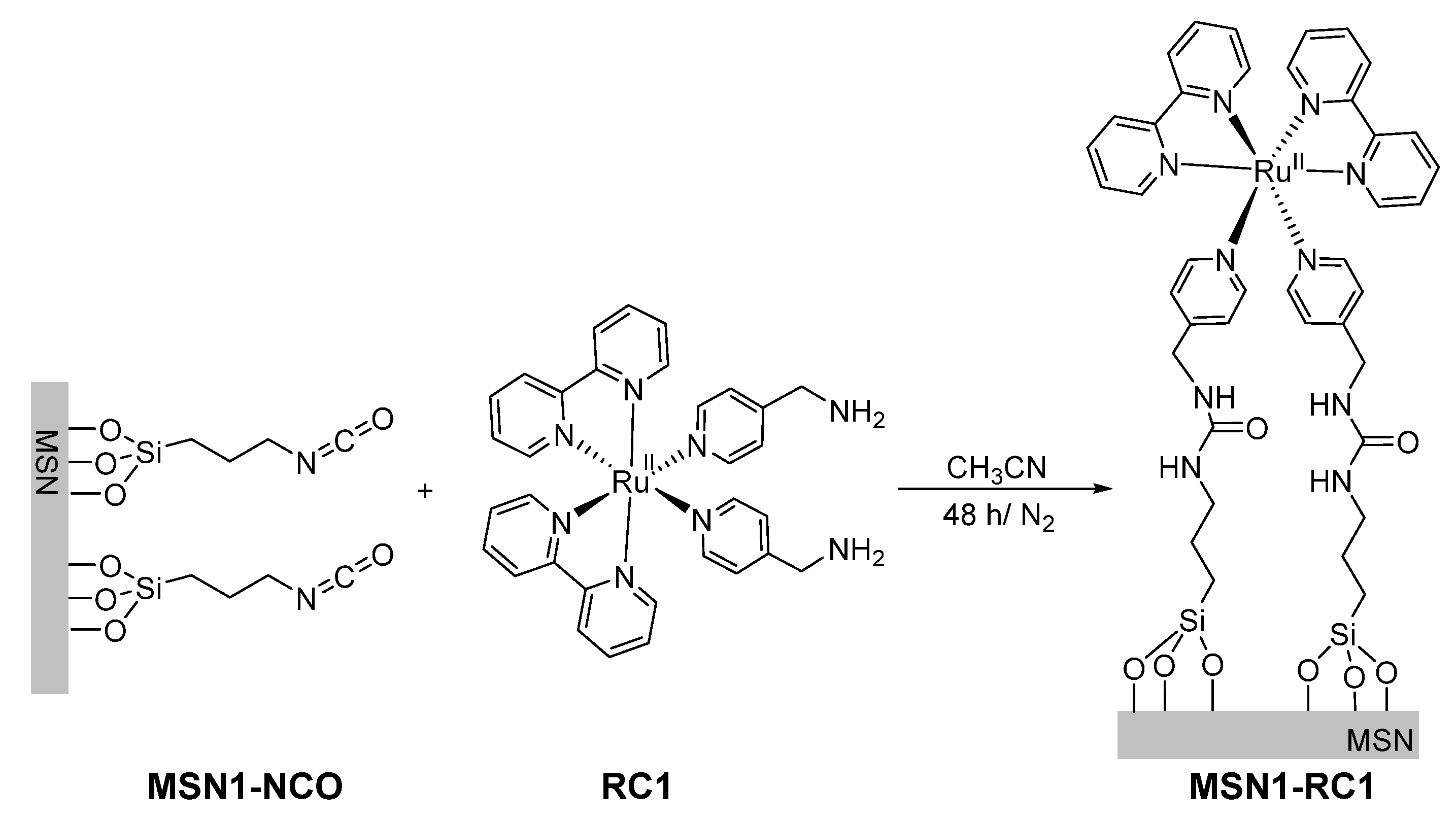 Nanomaterials 10 01030 g001