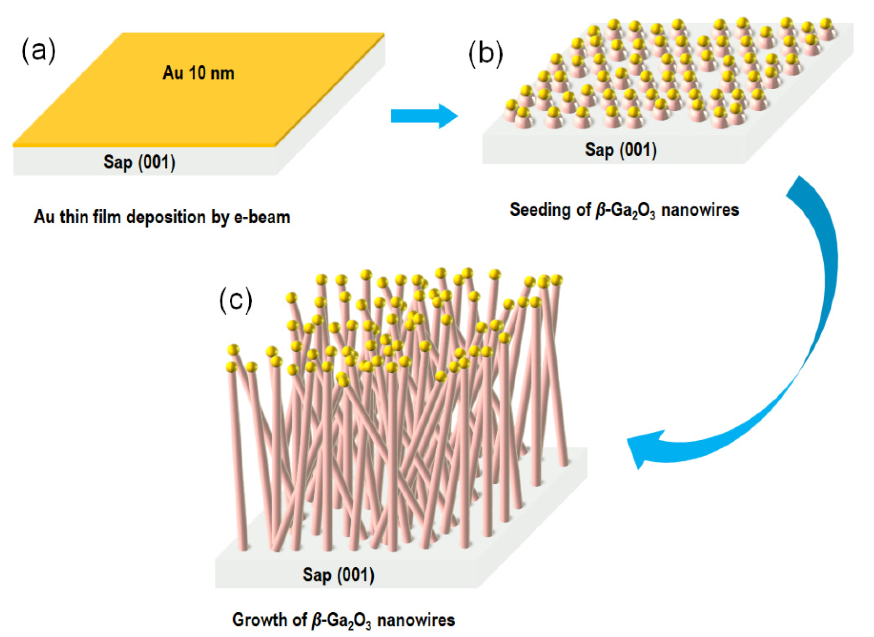 Nanomaterials 10 01031 g001