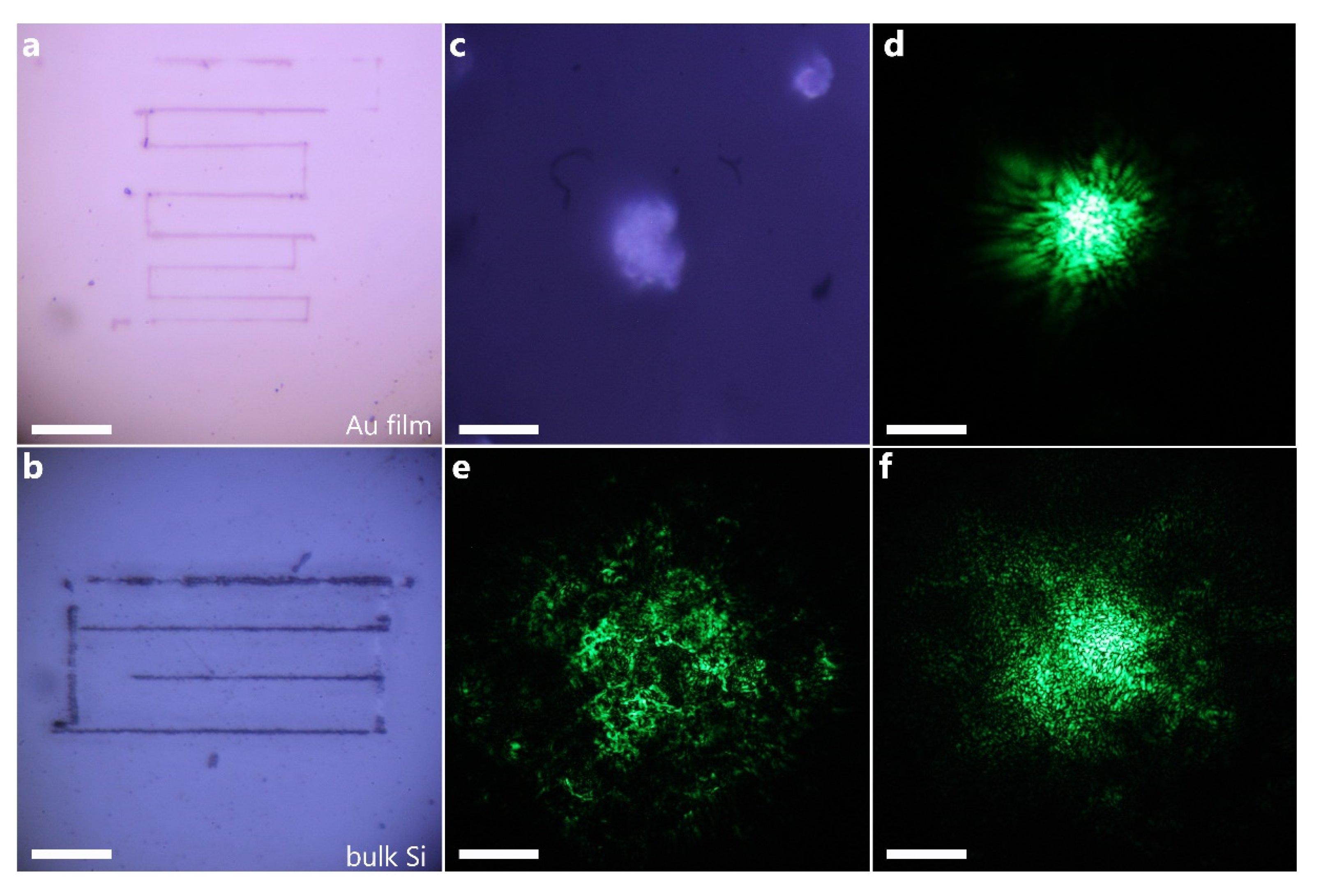 Nanomaterials 10 01036 g002 Nanomaterials 10 01036 g002
