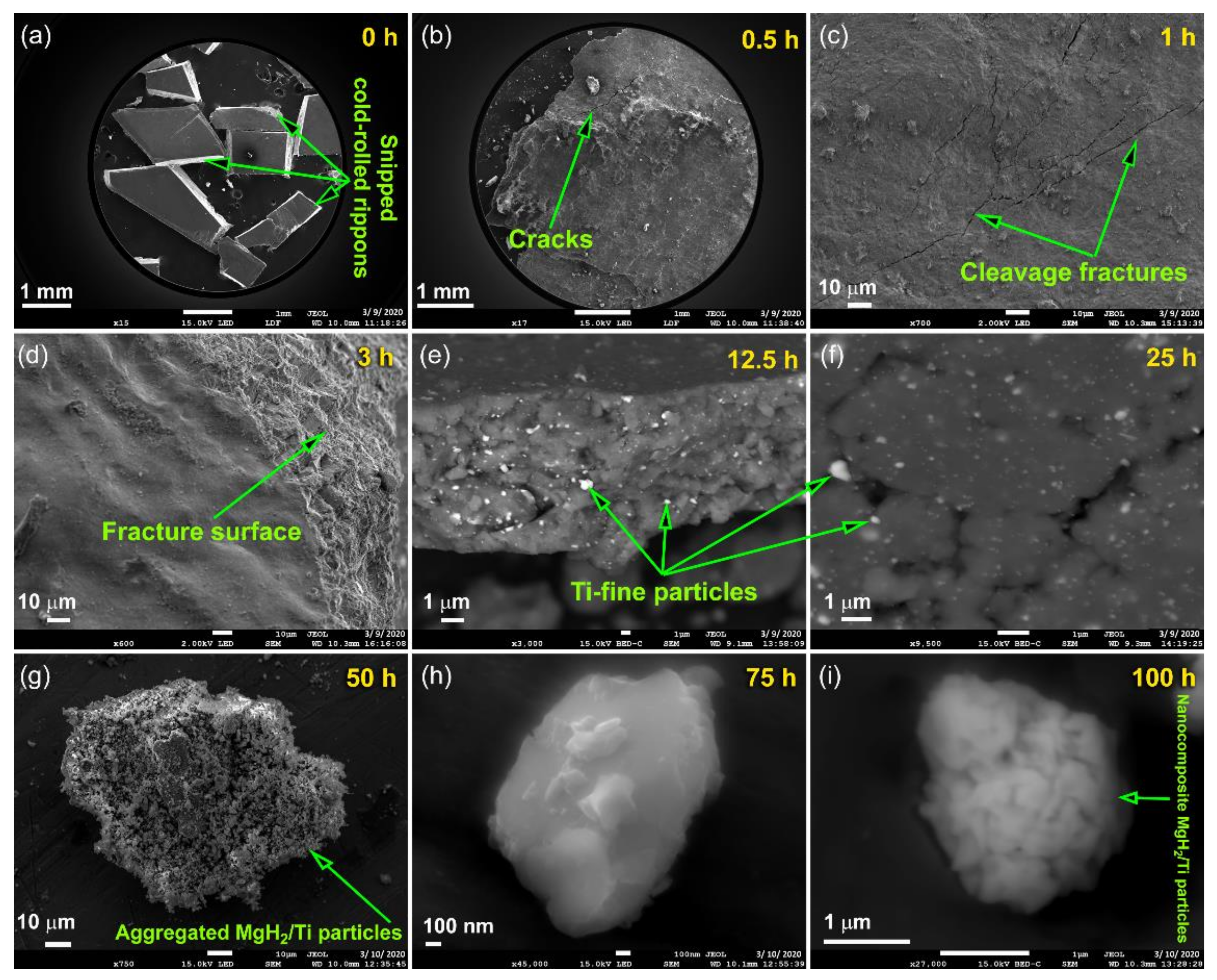 Nanomaterials 10 01037 g007