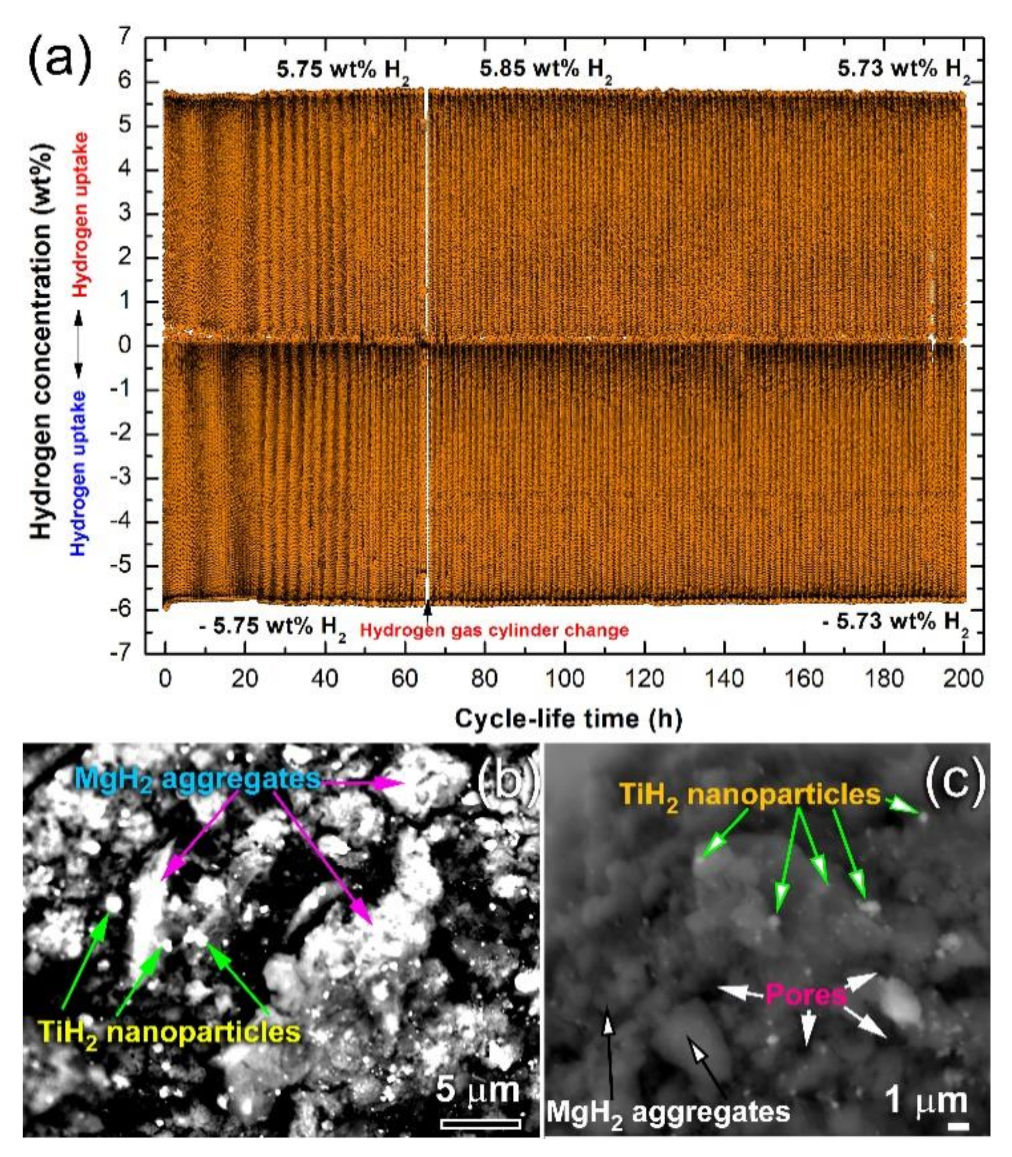 Nanomaterials 10 01037 g018
