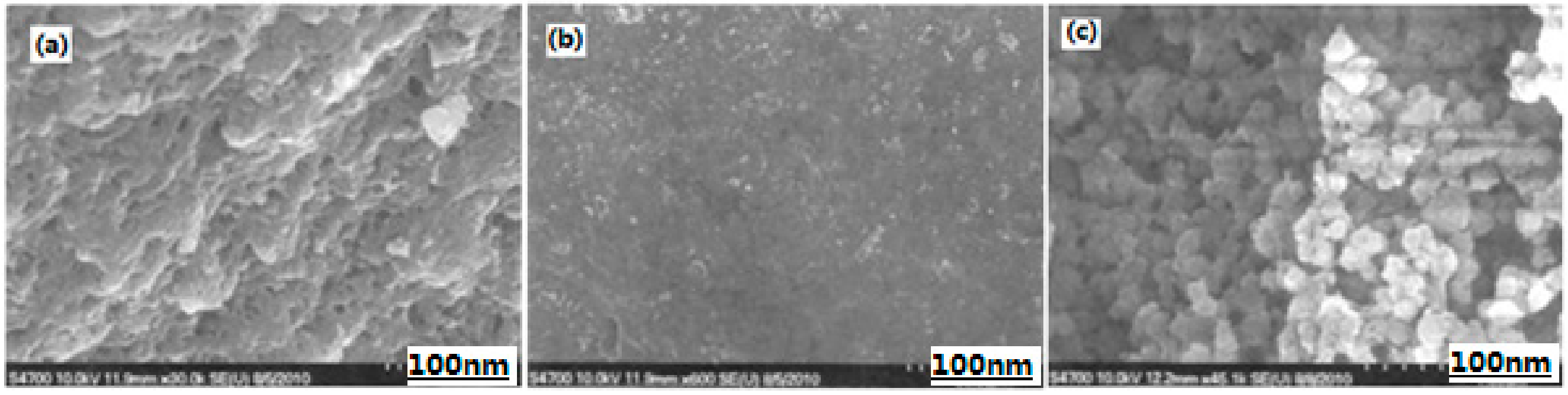 Nanomaterials 10 01039 g013 Nanomaterials 10 01039 g013