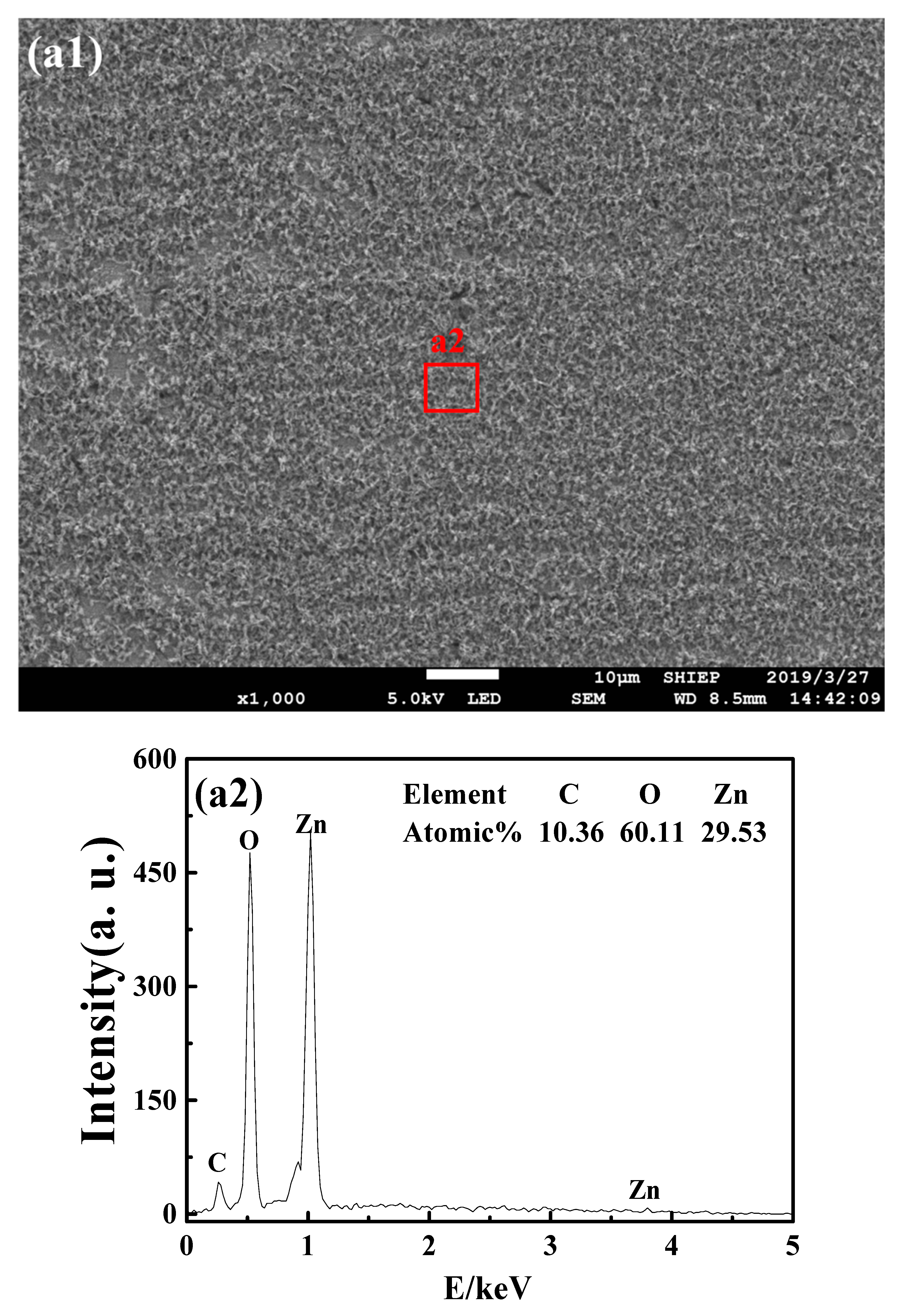 Nanomaterials 10 01046 g004a Nanomaterials 10 01046 g004a
