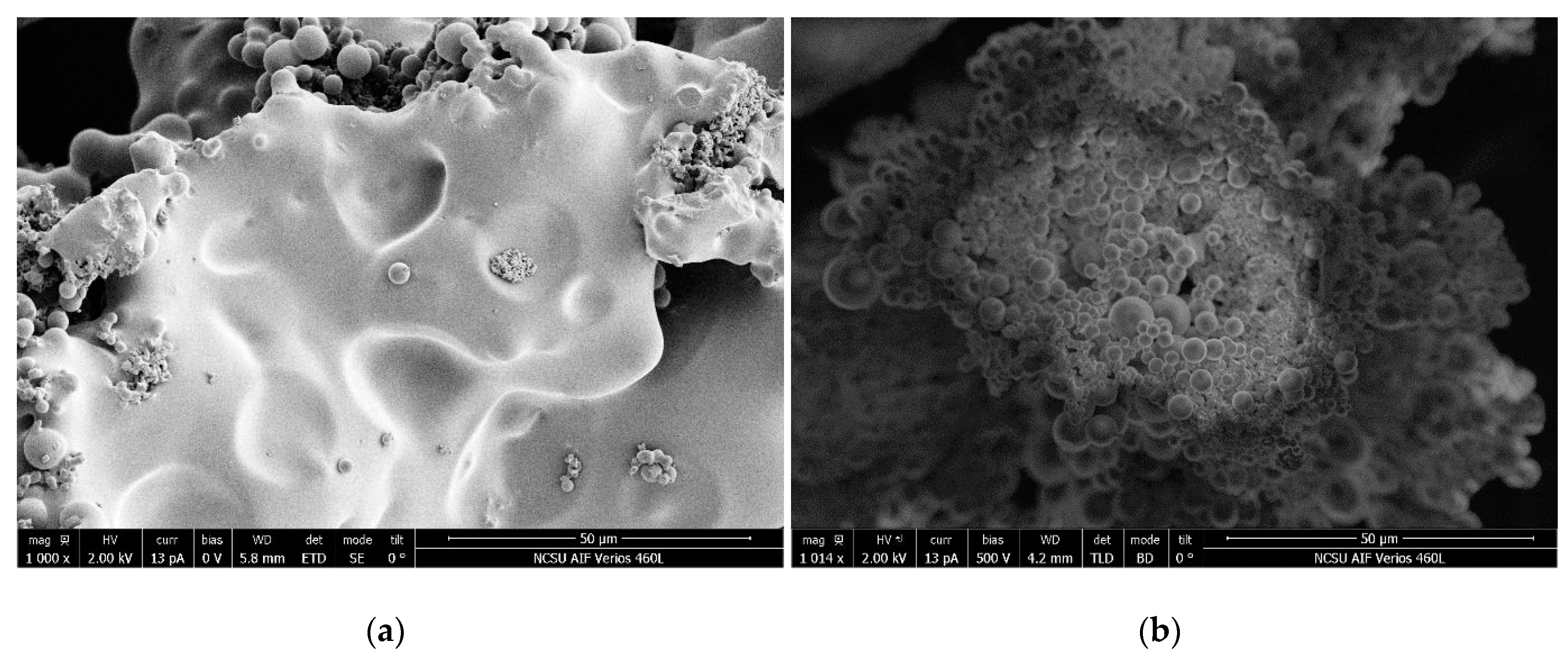 Nanomaterials 10 01049 g001