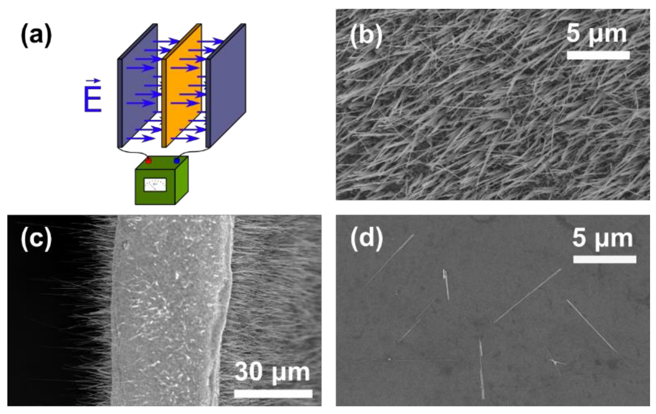 Nanomaterials 10 01051 g001