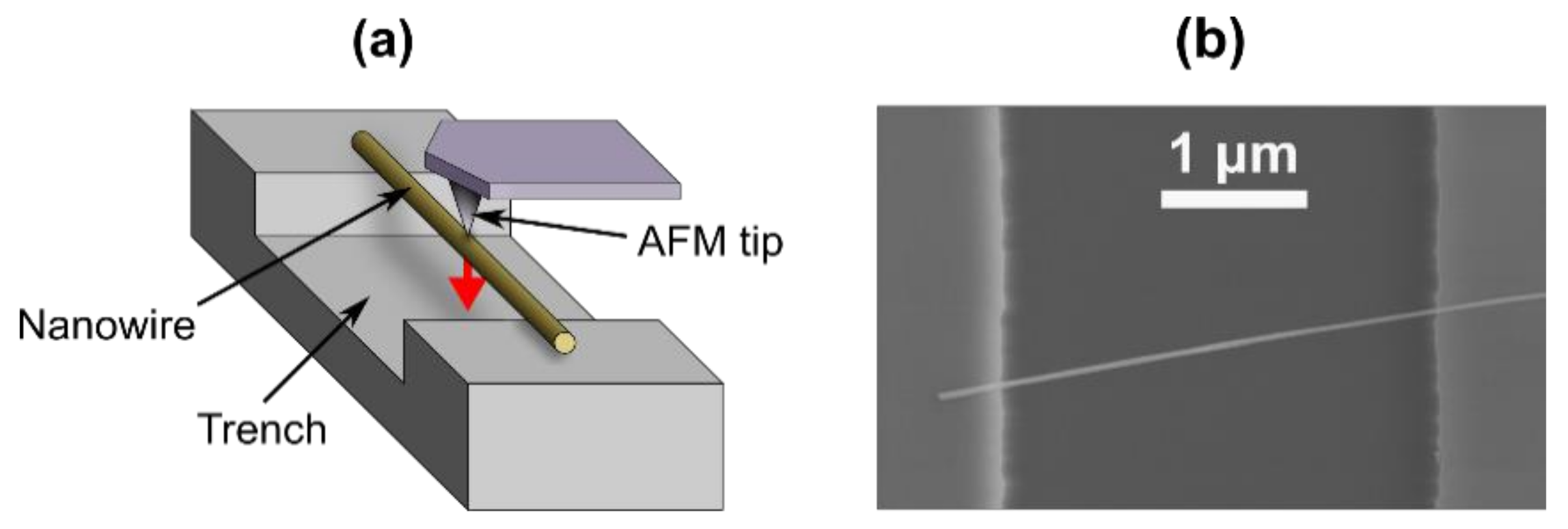 Nanomaterials 10 01051 g002