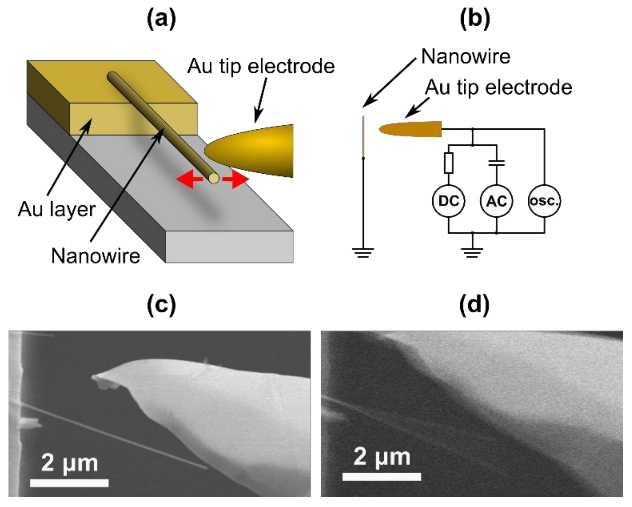 Nanomaterials 10 01051 g003