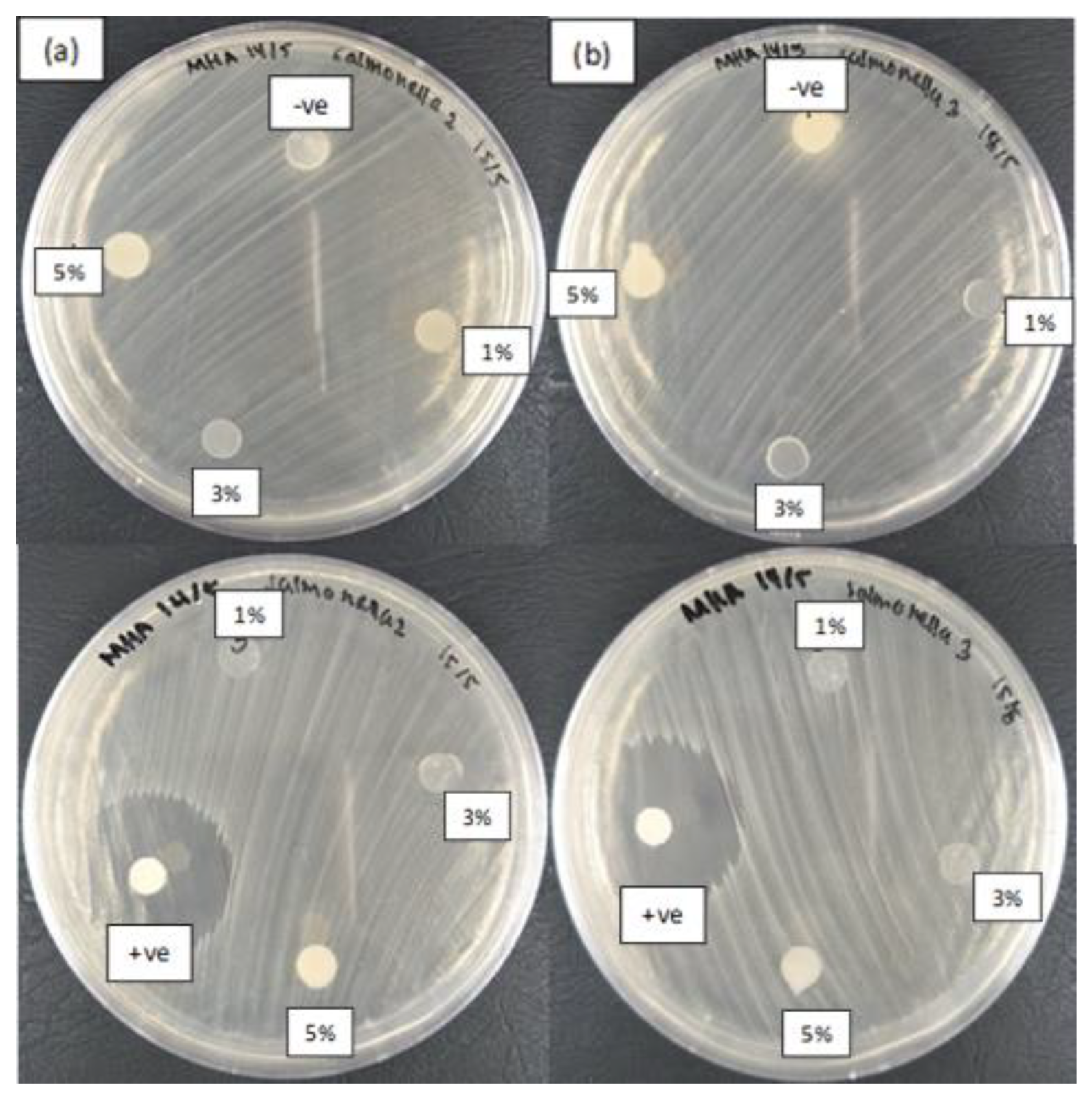 Nanomaterials 10 01061 g008 Nanomaterials 10 01061 g008