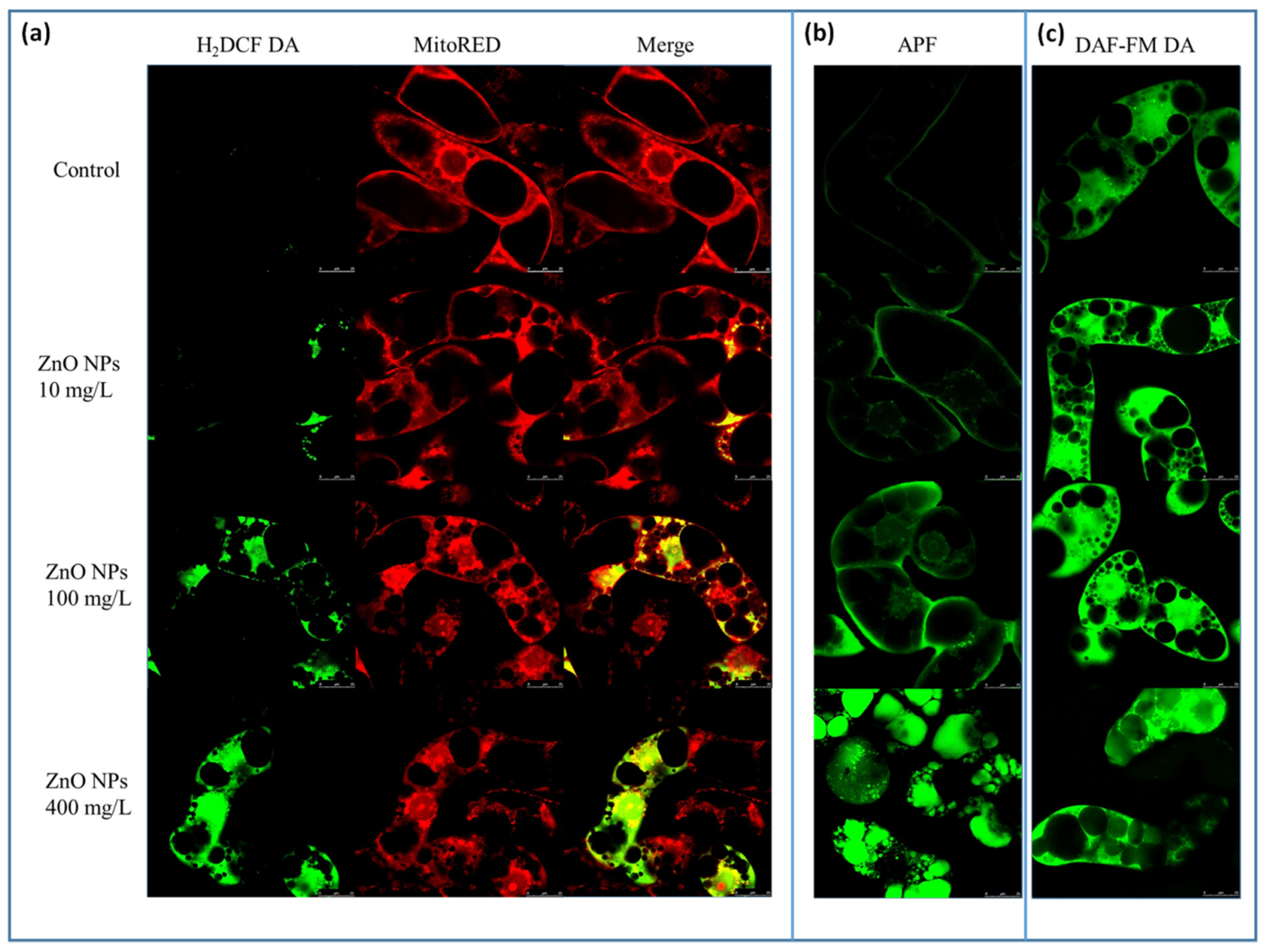Nanomaterials 10 01066 g003 Nanomaterials 10 01066 g003