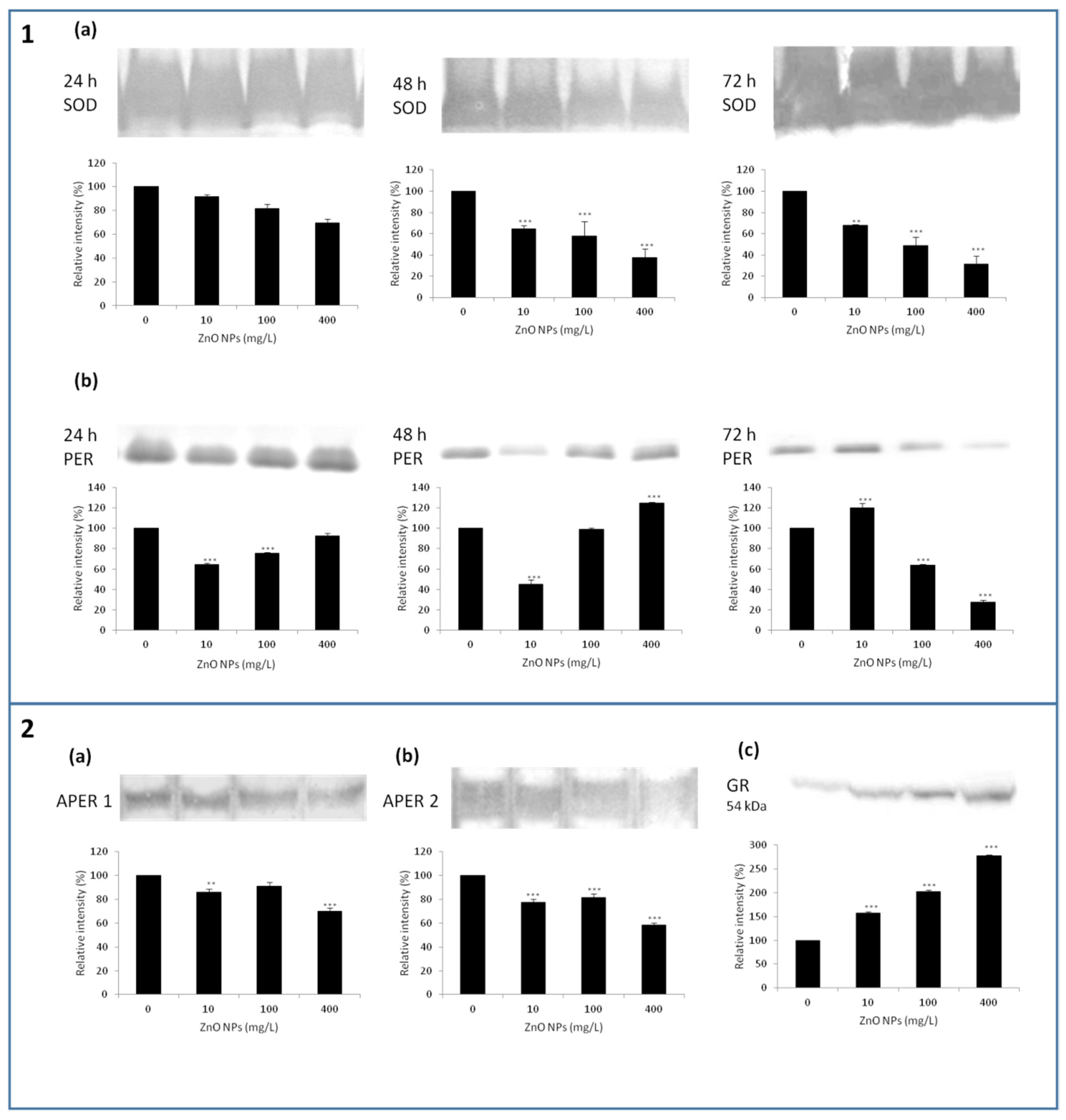 Nanomaterials 10 01066 g005 Nanomaterials 10 01066 g005