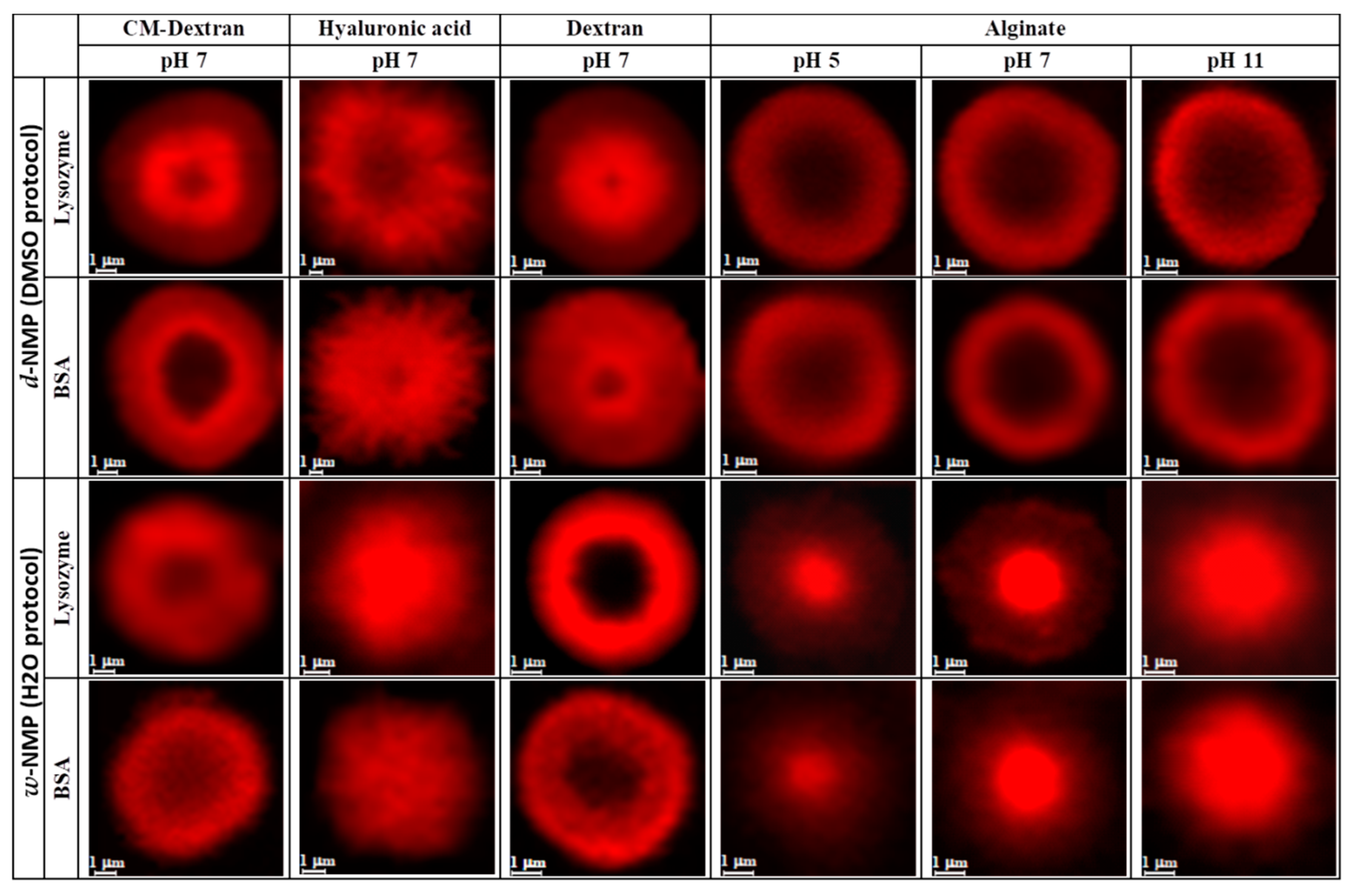 Nanomaterials 10 01075 g006 Nanomaterials 10 01075 g006