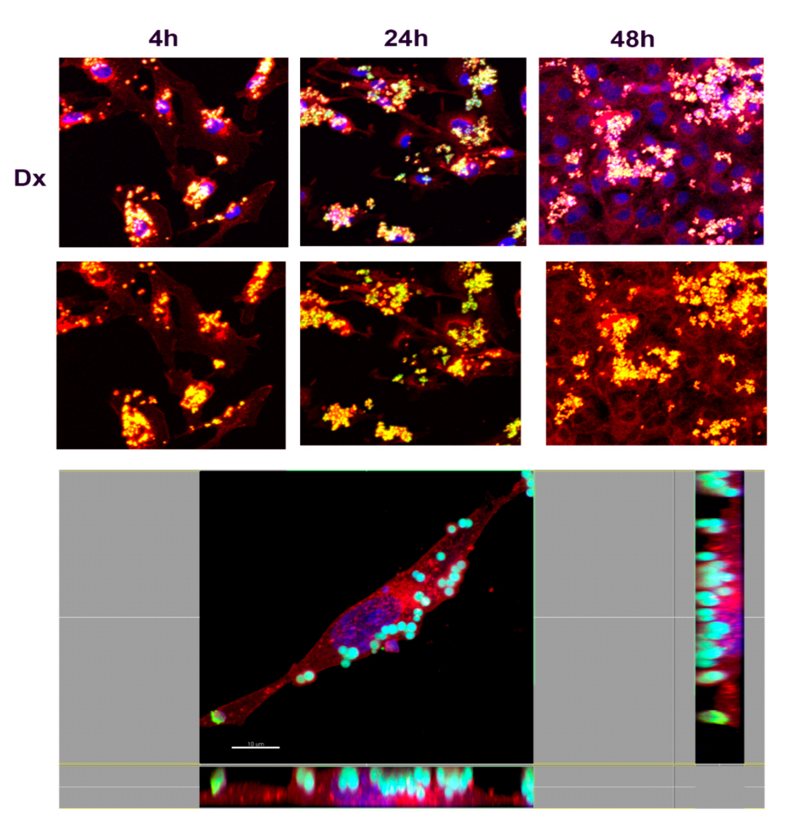 Nanomaterials 10 01075 g009 Nanomaterials 10 01075 g009