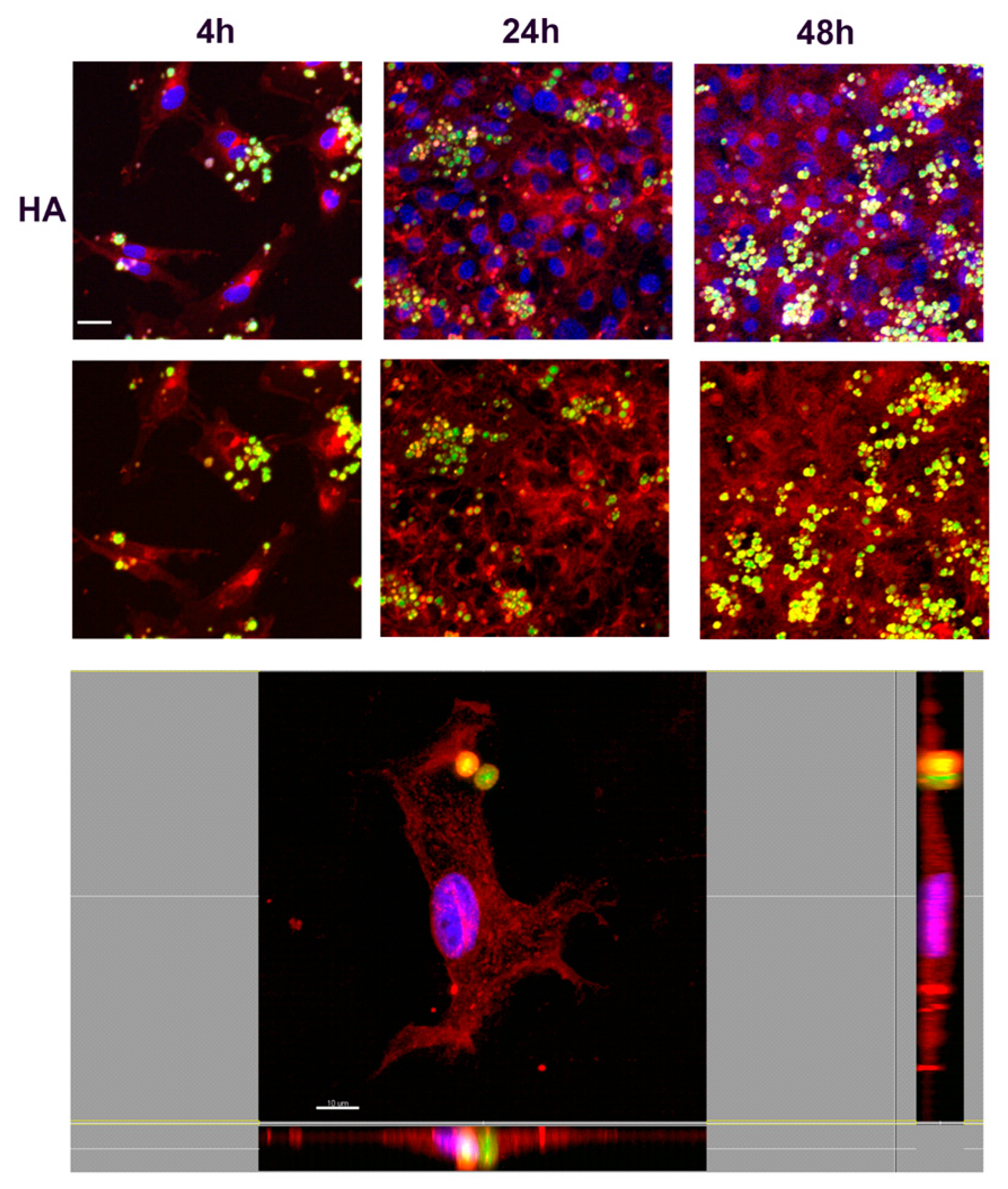 Nanomaterials 10 01075 g012 Nanomaterials 10 01075 g012
