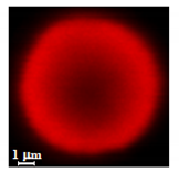 Nanomaterials 10 01075 i004 Nanomaterials 10 01075 i004