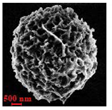 Nanomaterials 10 01075 i005 Nanomaterials 10 01075 i005