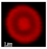 Nanomaterials 10 01075 i012 Nanomaterials 10 01075 i012